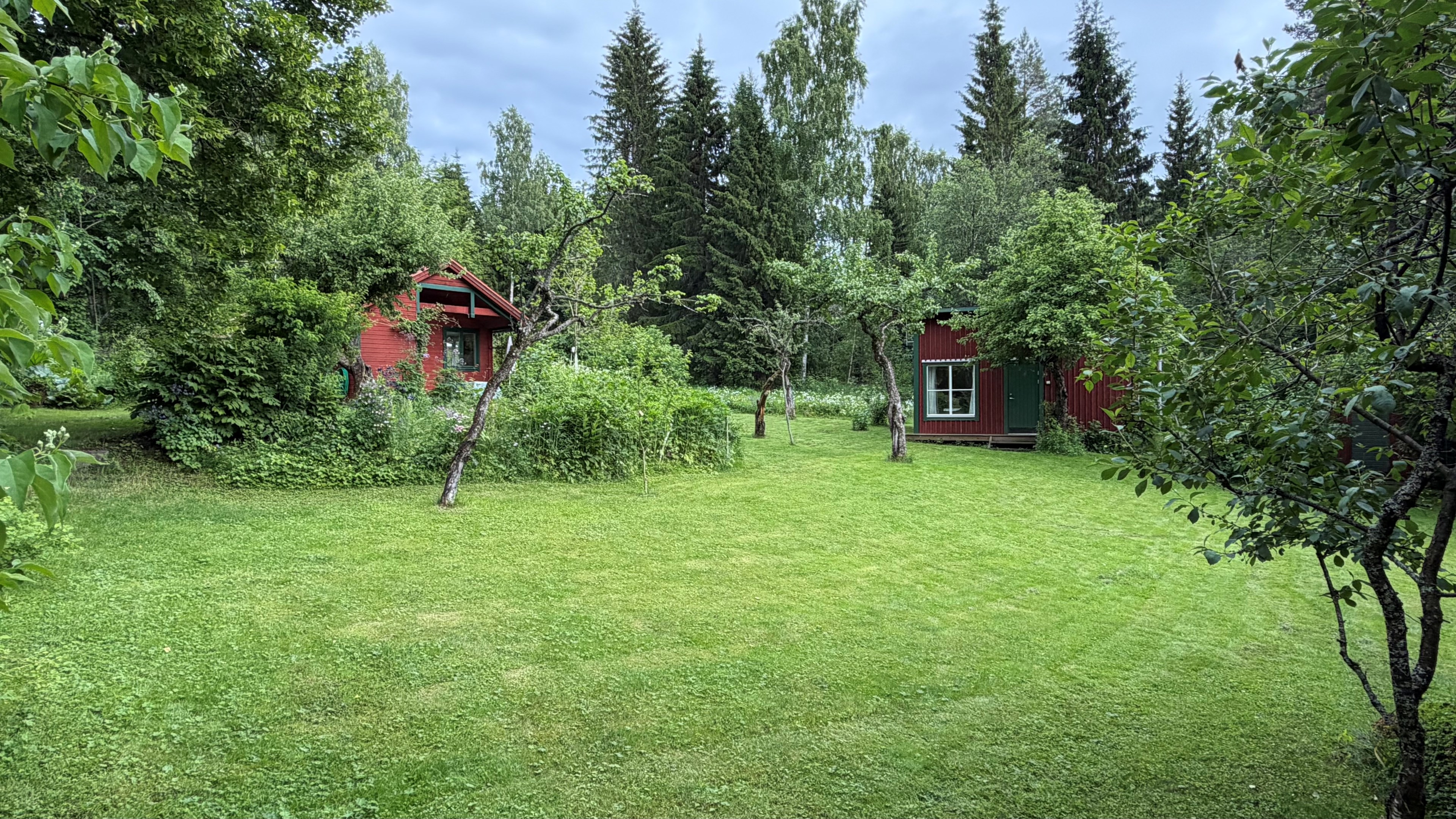Stugorna inbäddade i sommargrönska