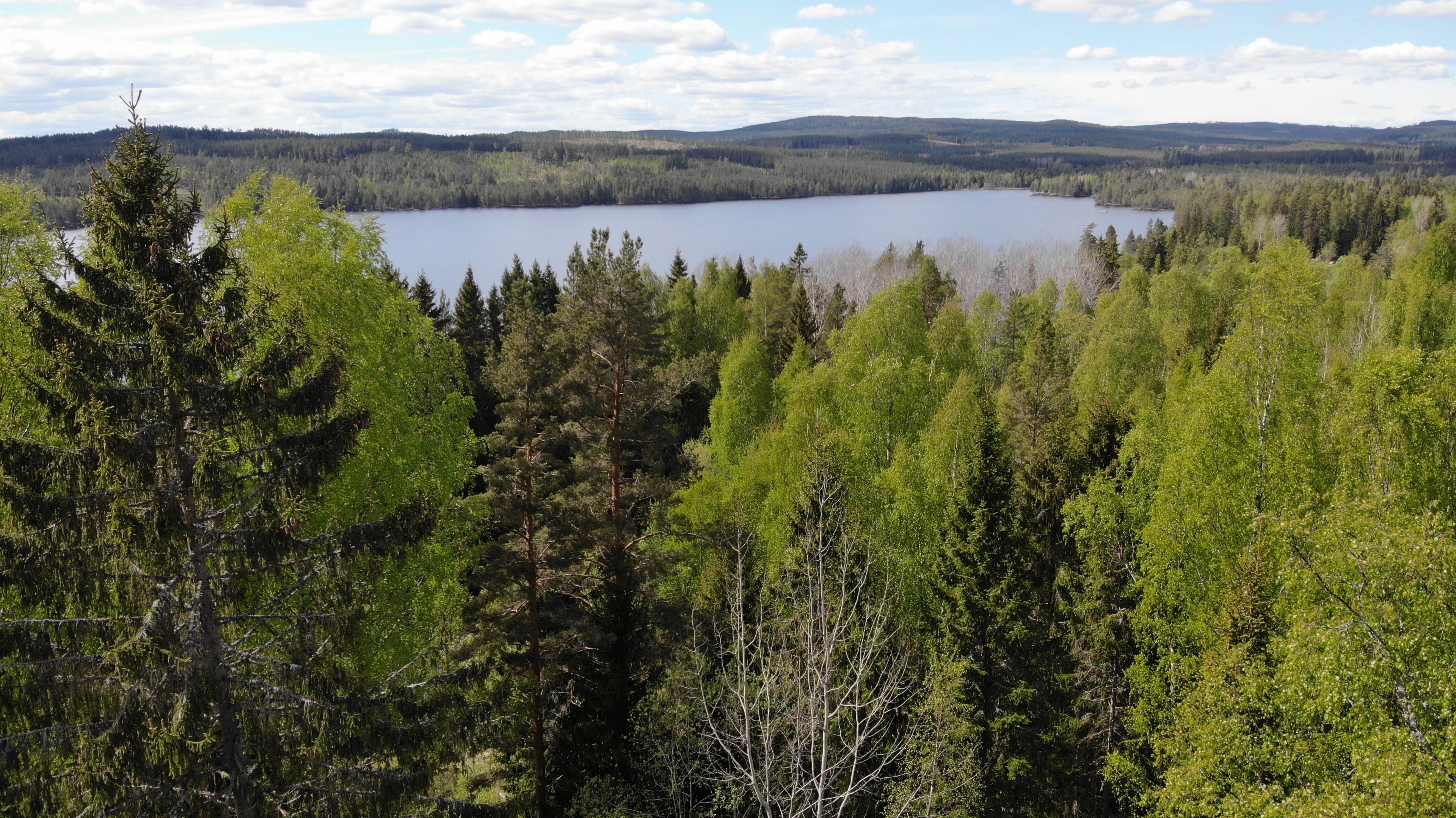 Stora Aspan