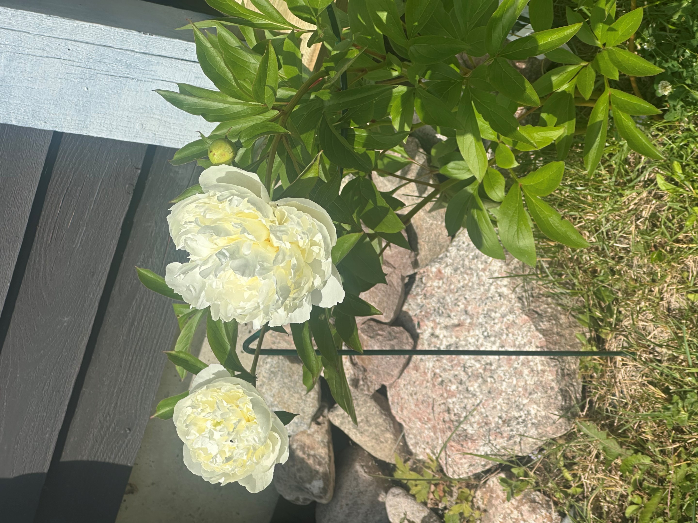 Bostadsbild från Tackmossvägen 22, Såld i , Uppsala
