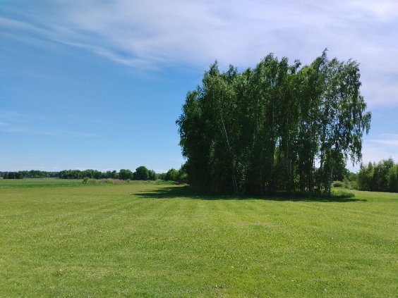 Privat bild