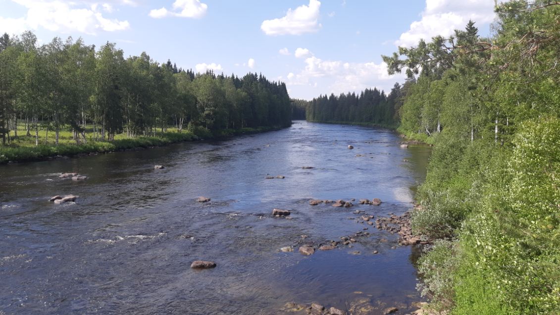 Älgforsen