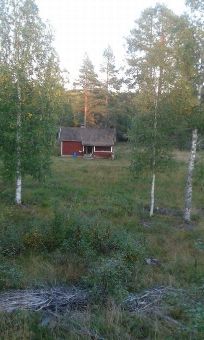 Älgforsen