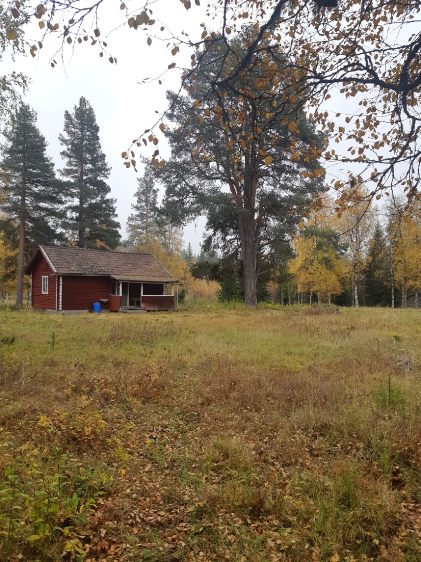 Älgforsen
