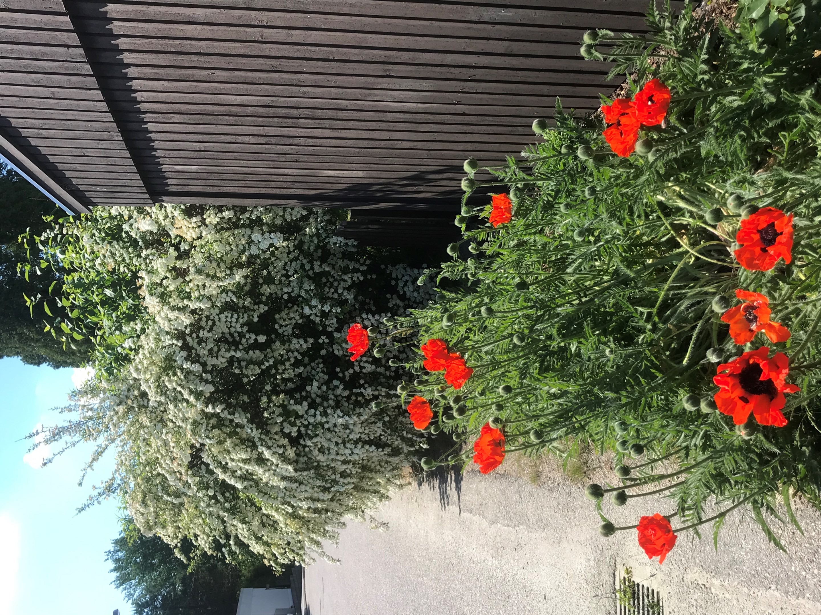 Bostadsbild från Gustaf Hööks väg 5, Till salu i Skuru, Nacka