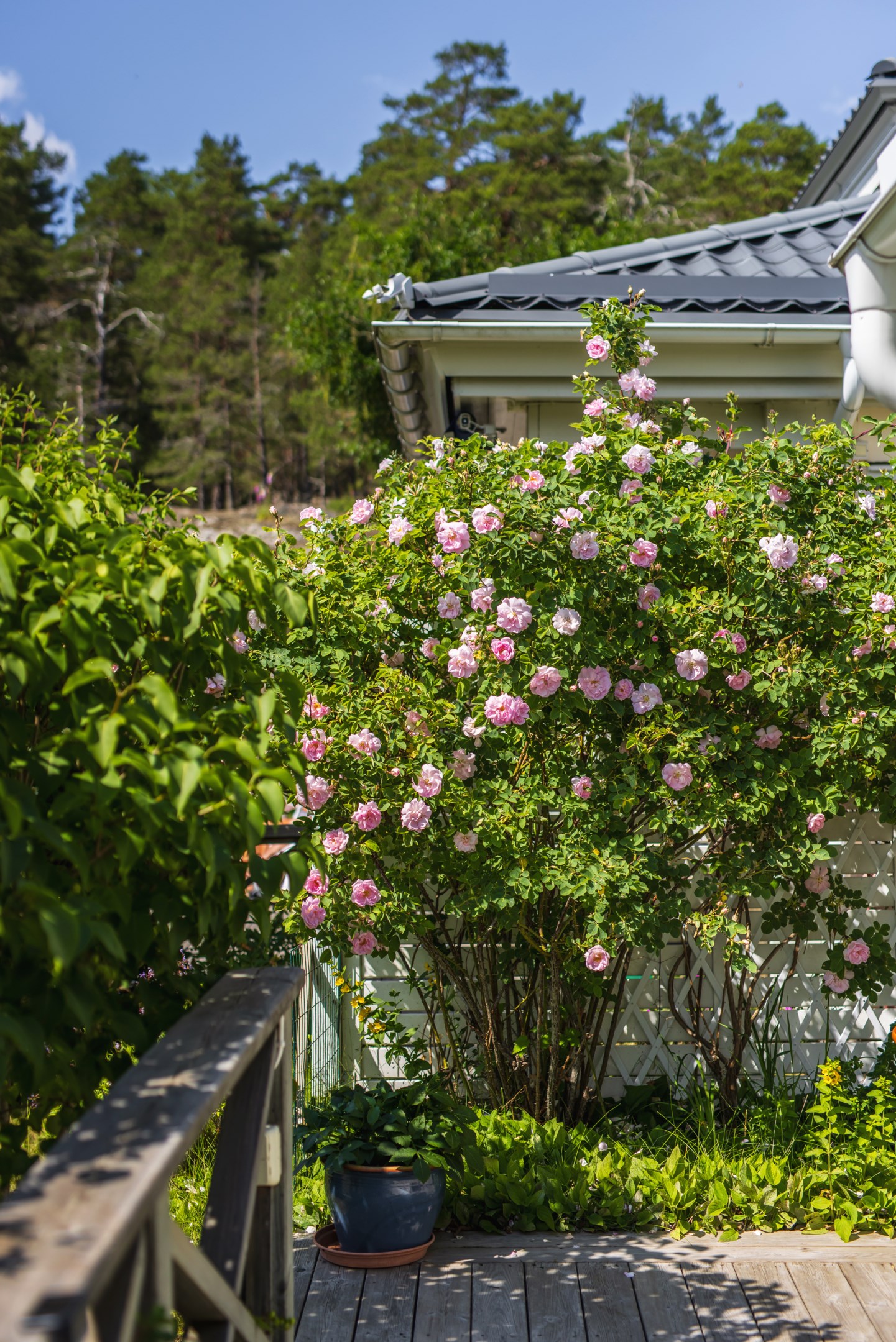 Bostadsbild från Stadsvallsvägen 6A, Kommande i Stadsvall, Värmdö