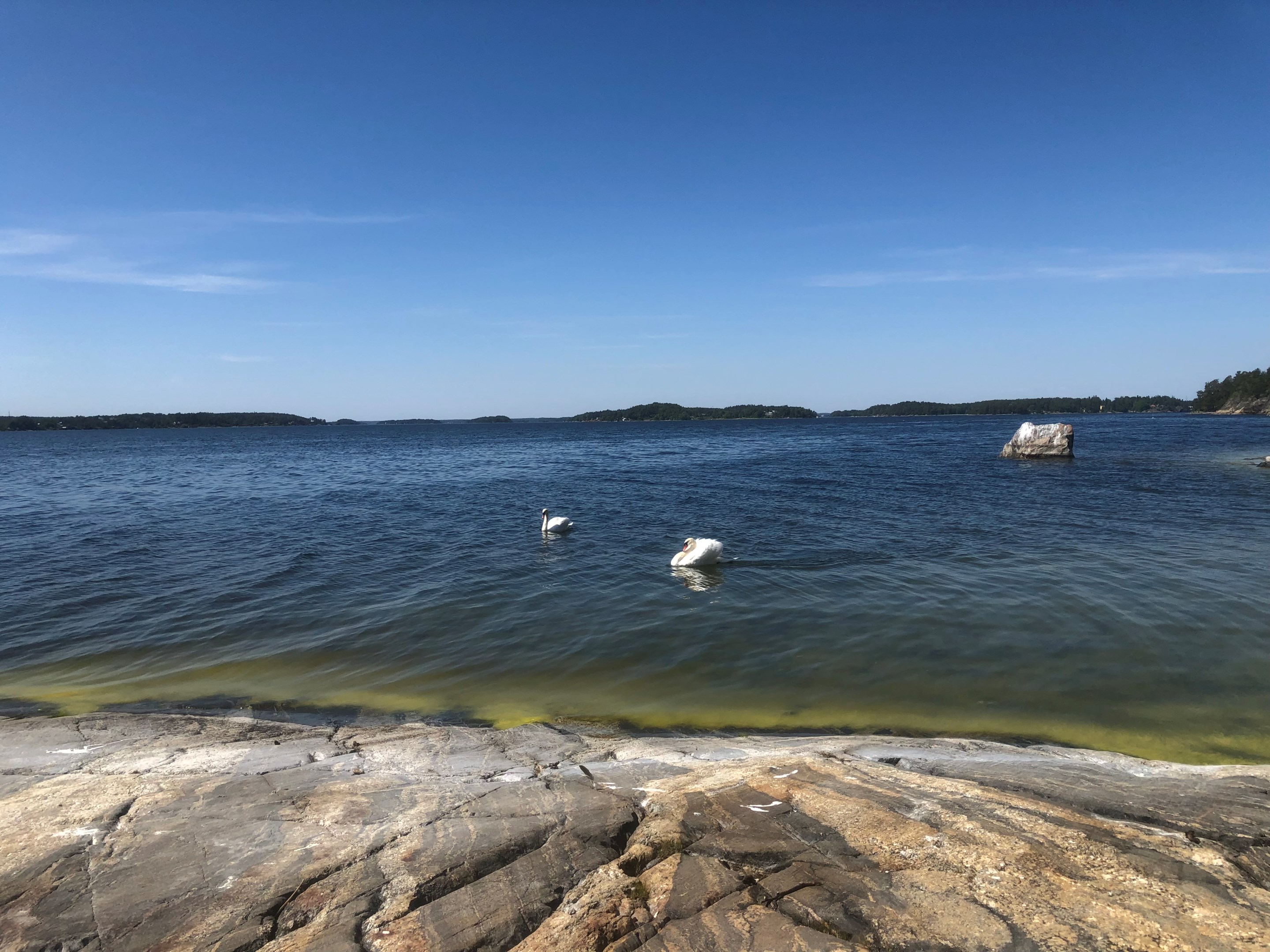 Bostadsbild från Stadsvallsvägen 6A, Kommande i Stadsvall, Värmdö