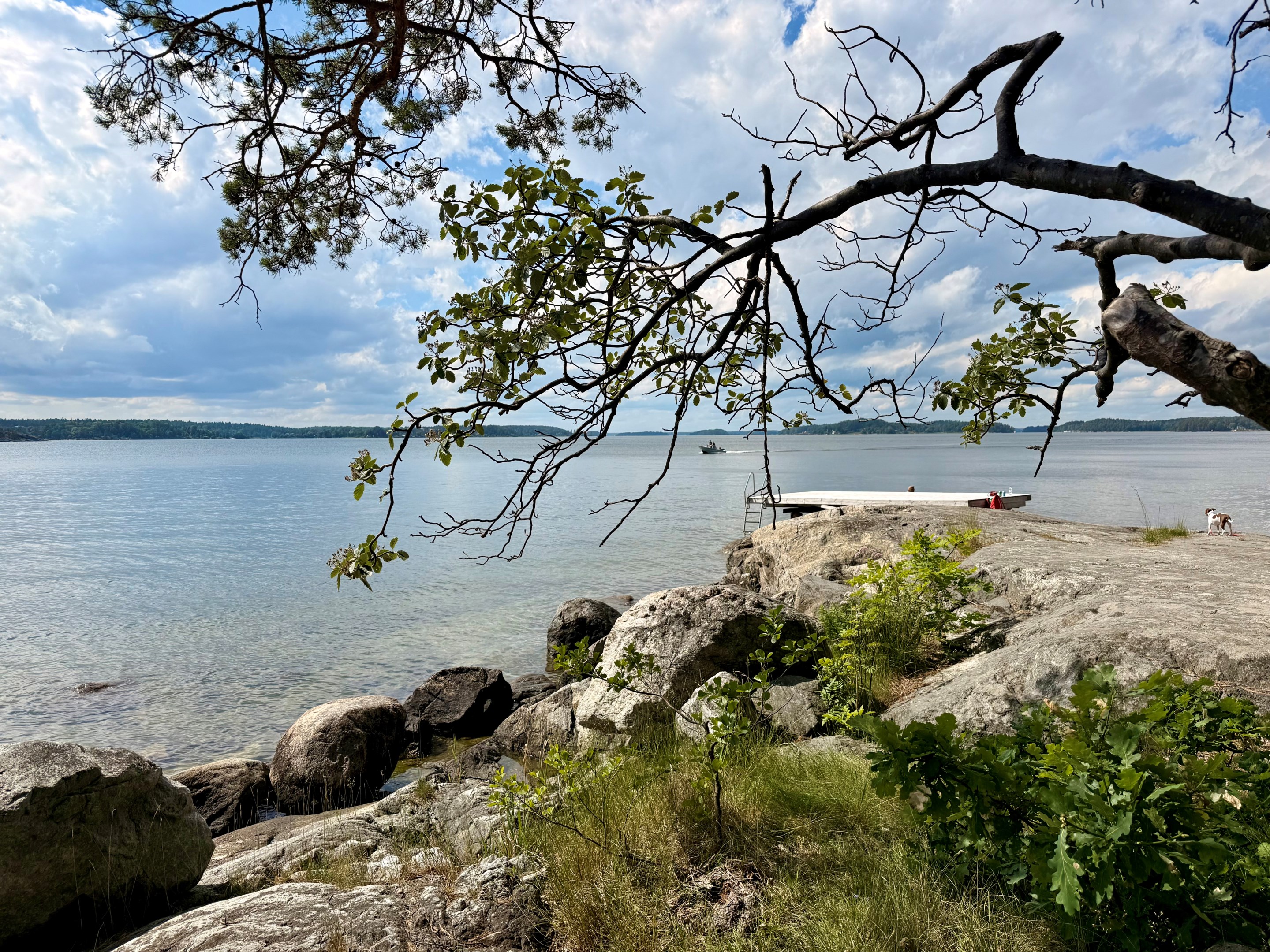 Bostadsbild från Stadsvallsvägen 6A, Kommande i Stadsvall, Värmdö