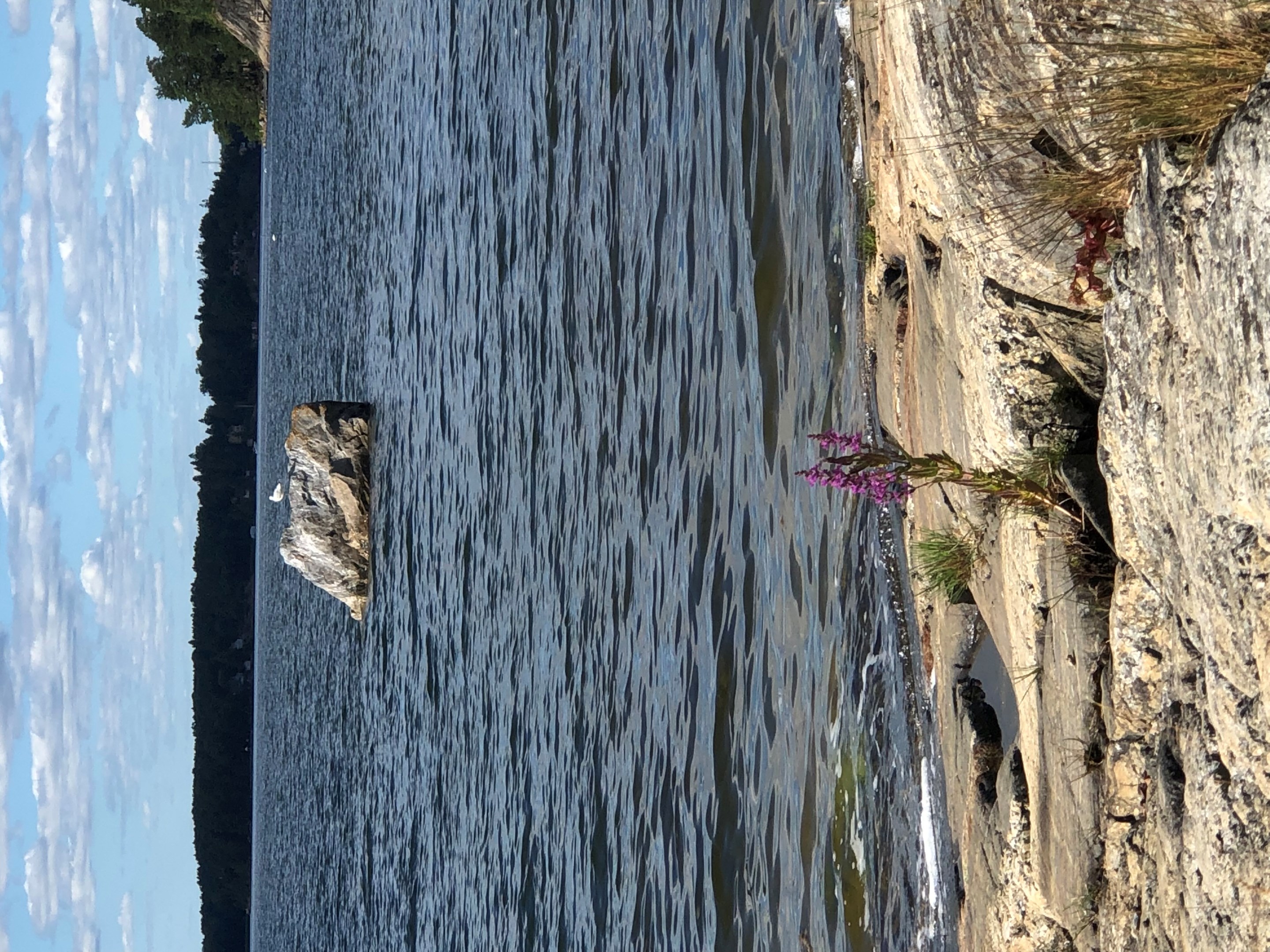 Bostadsbild från Stadsvallsvägen 6A, Kommande i Stadsvall, Värmdö