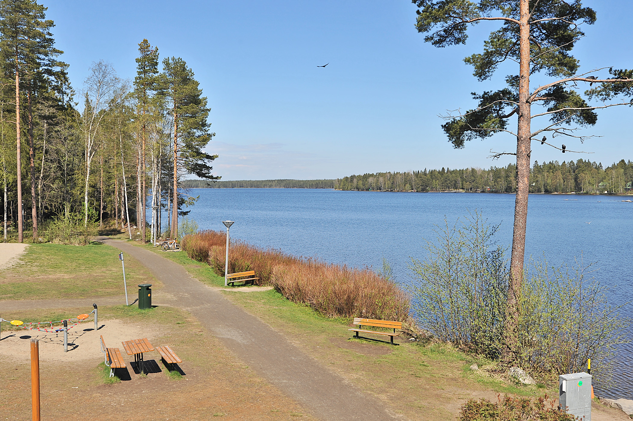 Nydalasjön södra