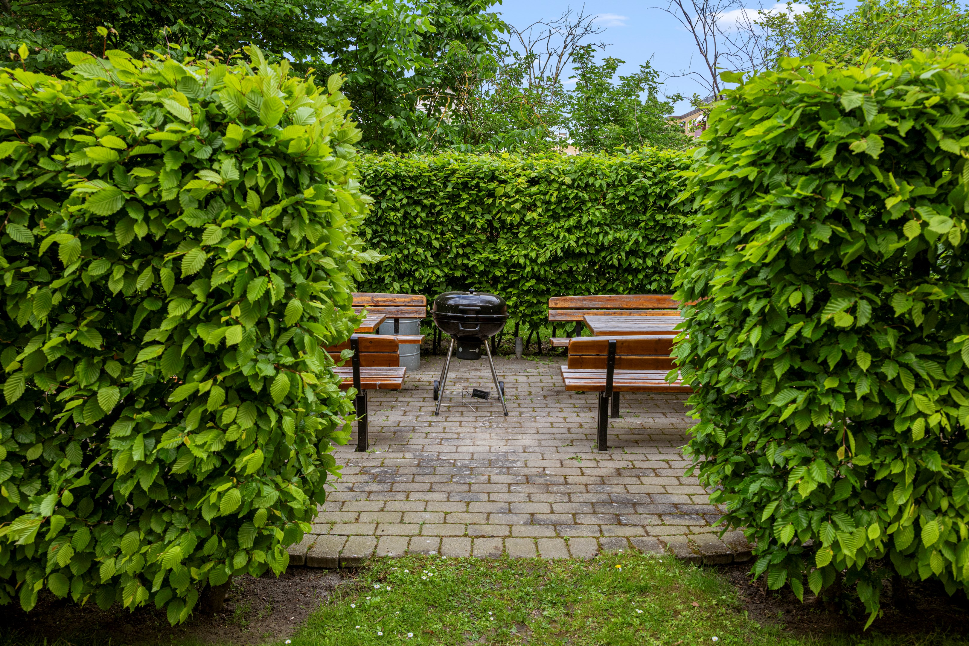Grön uteplats med grillmöjligheter