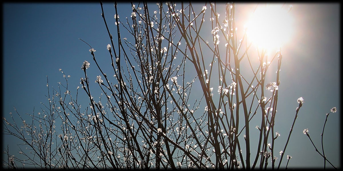 Naturbild