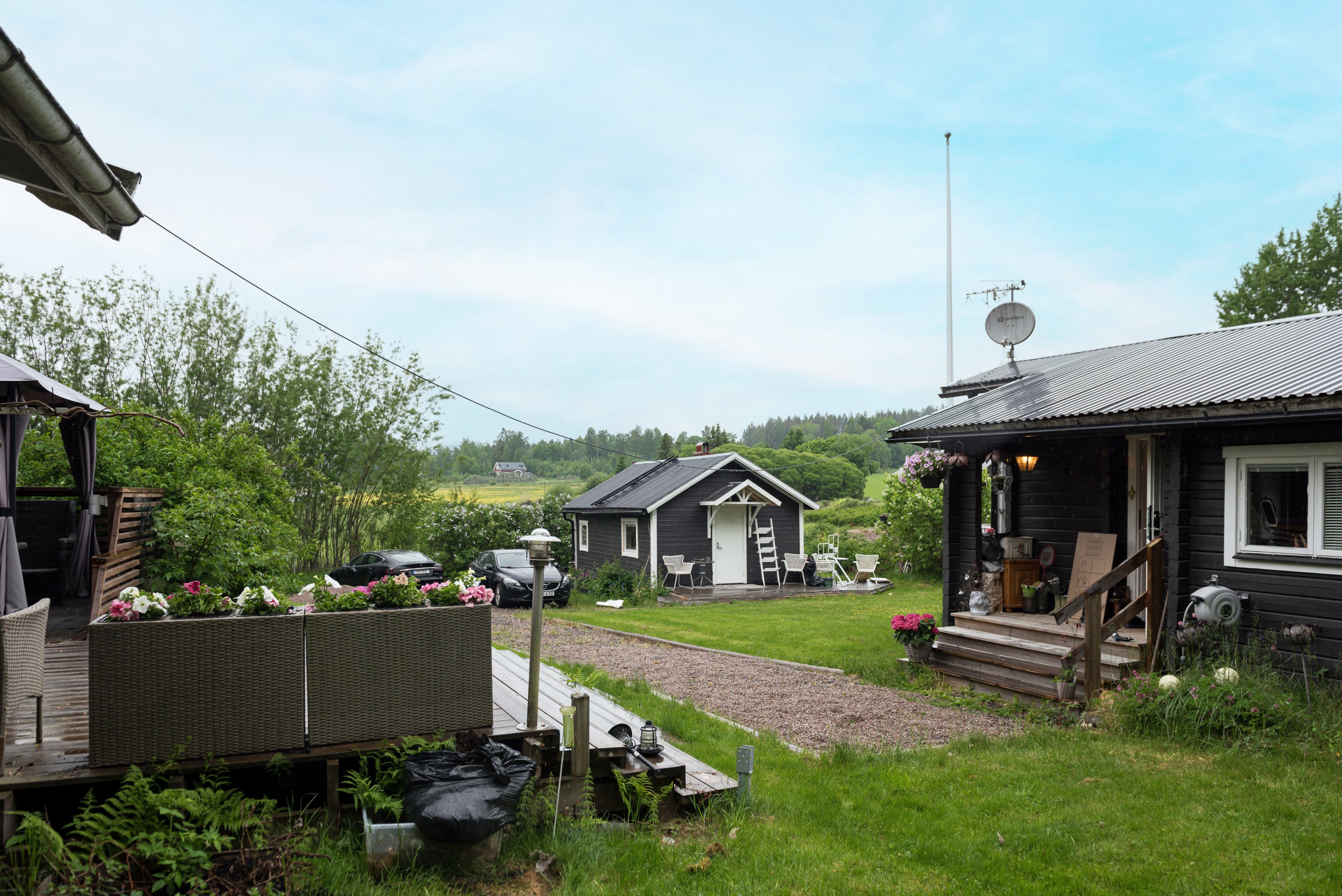 Trädgård