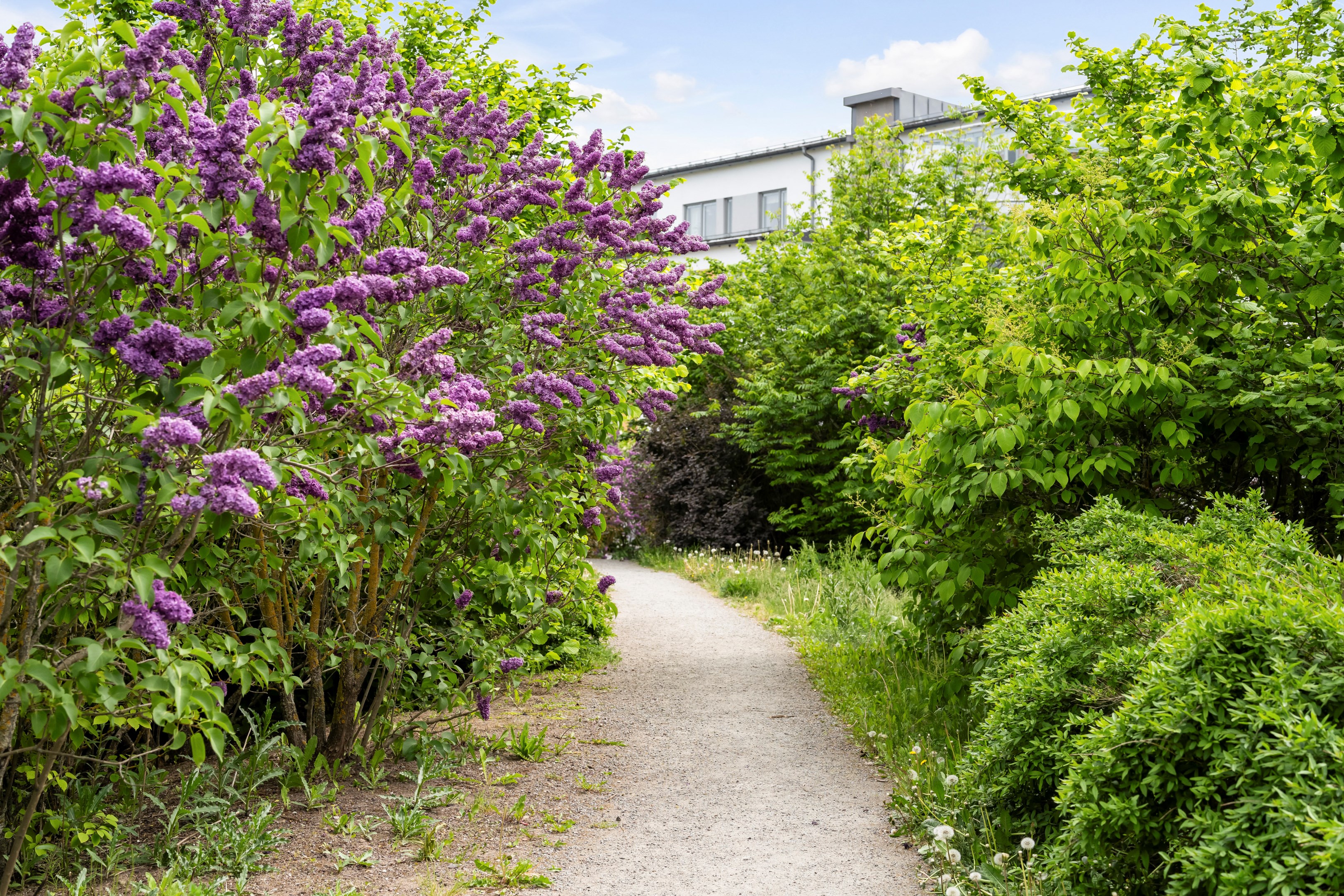 Bostadsbild från Rörgatan 12, Till salu i Luthagen, Uppsala