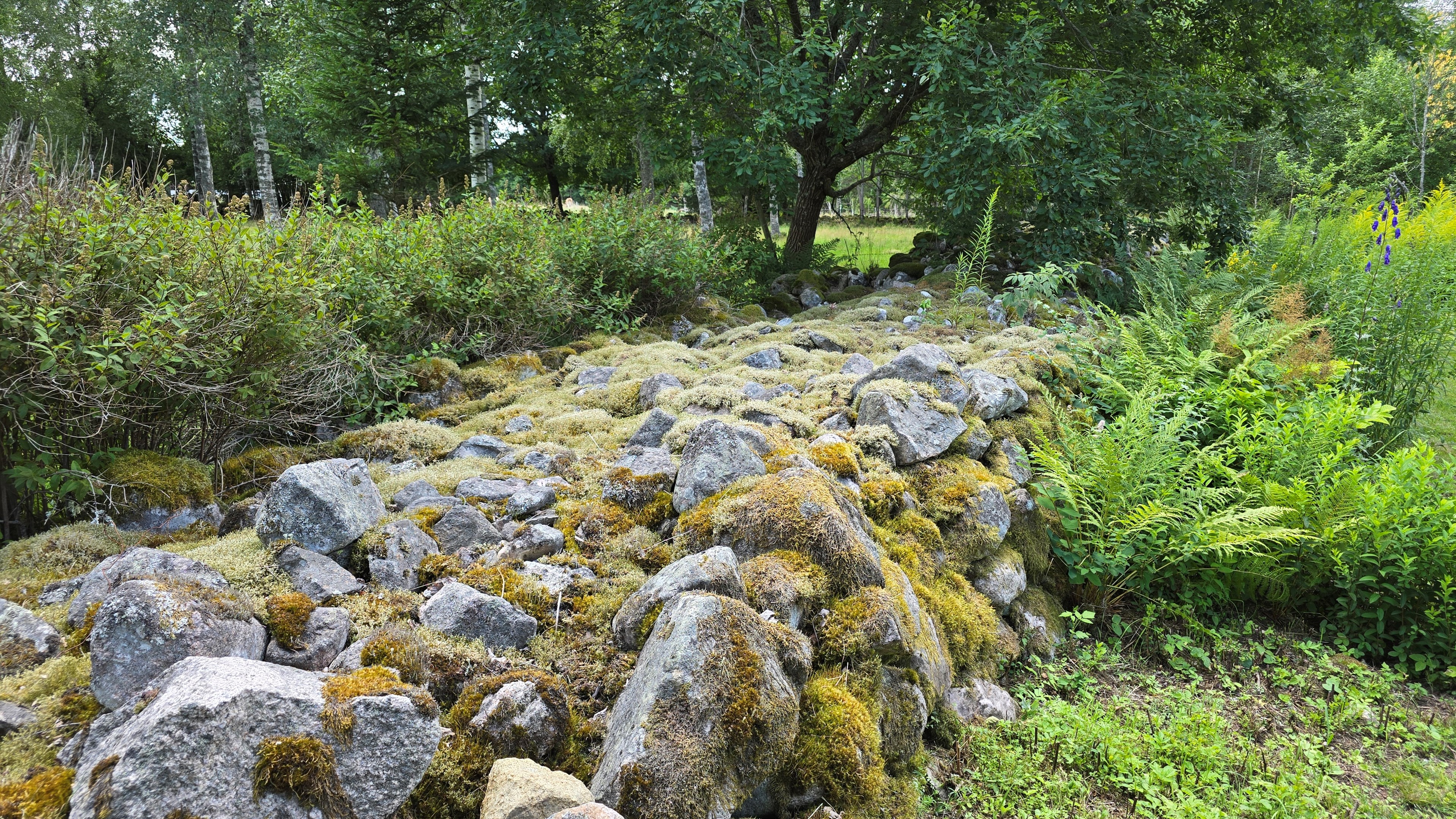 088 6_tomt_stenmur