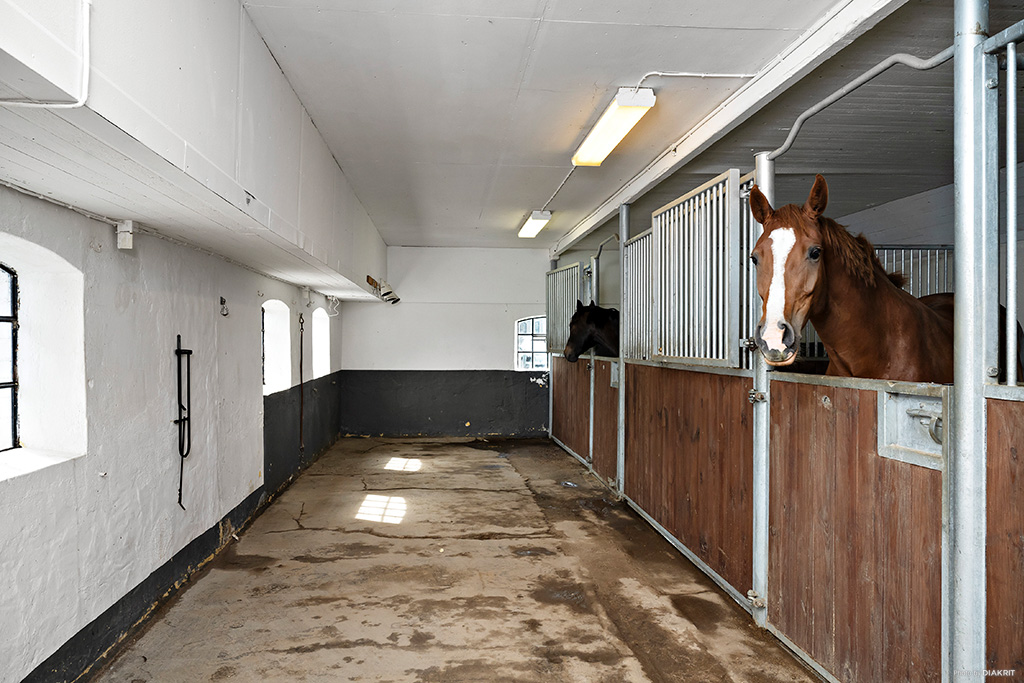 Välinrett stall