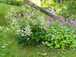 Säljarens bilder