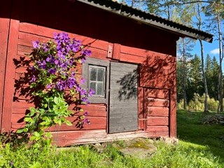 Säljarens bilder