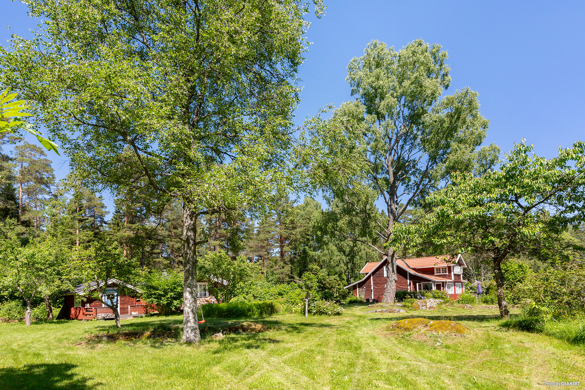 19. Trädgård