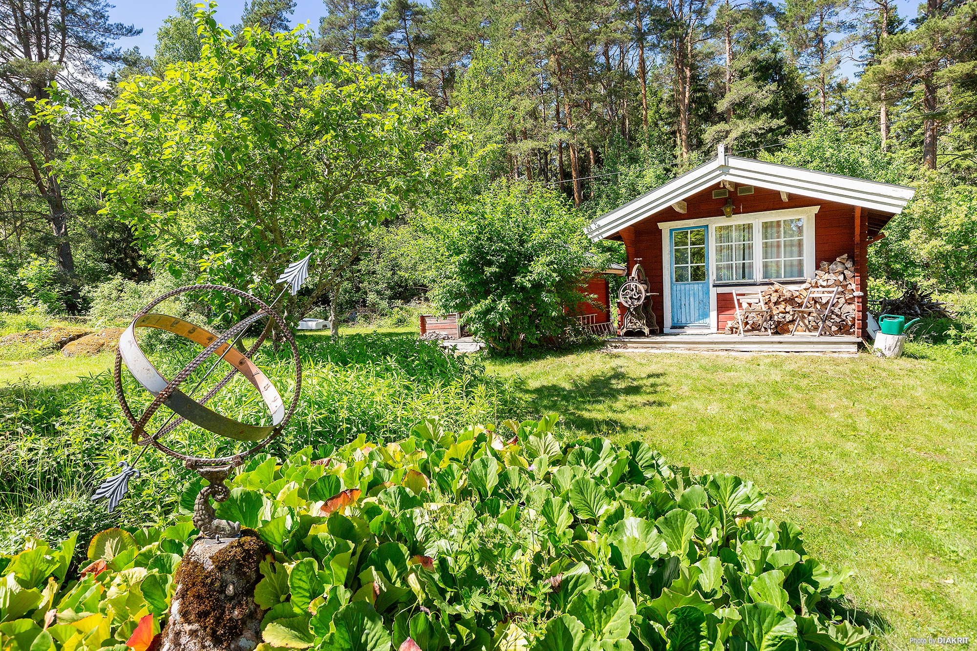 20. Trädgård