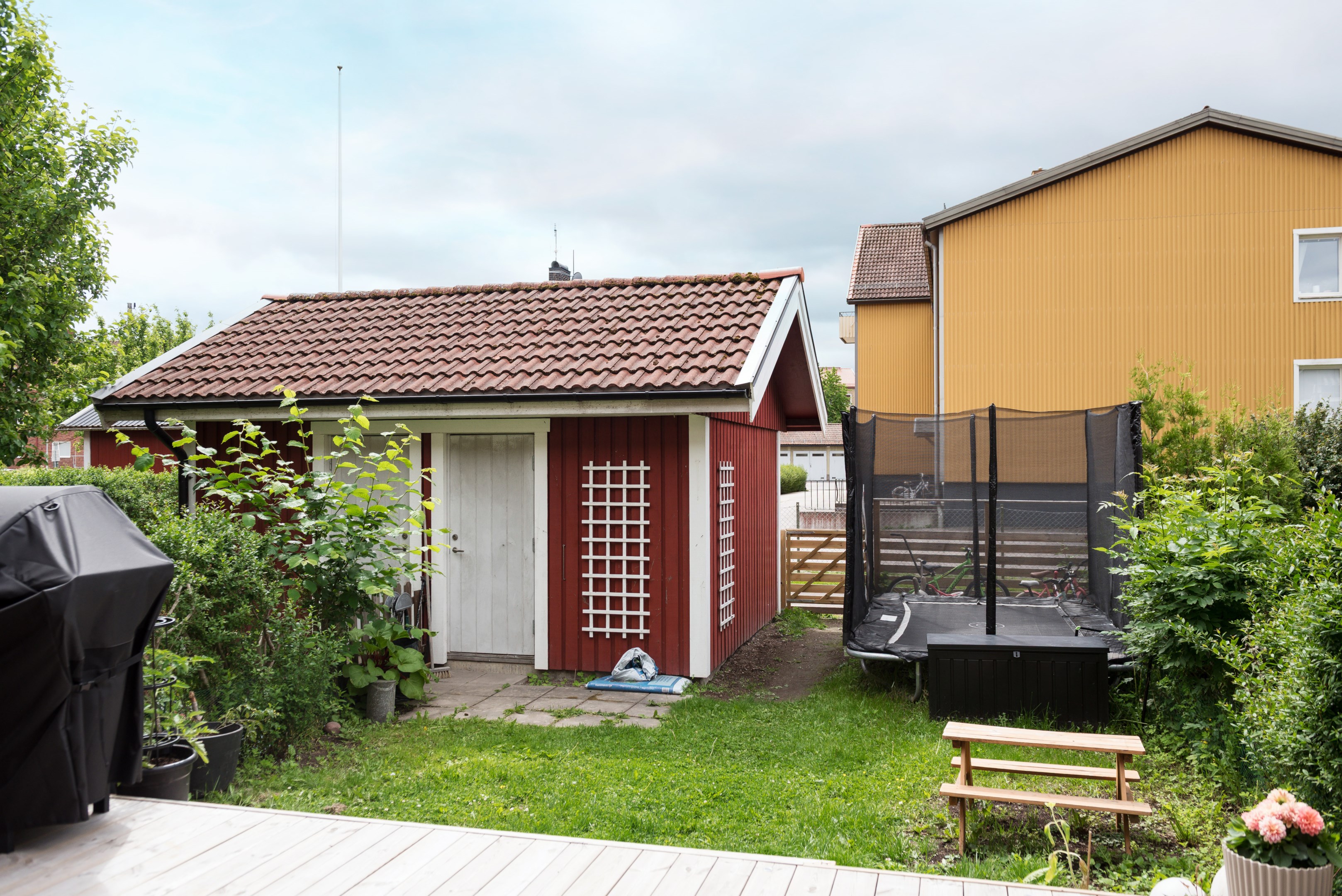 Trädgård