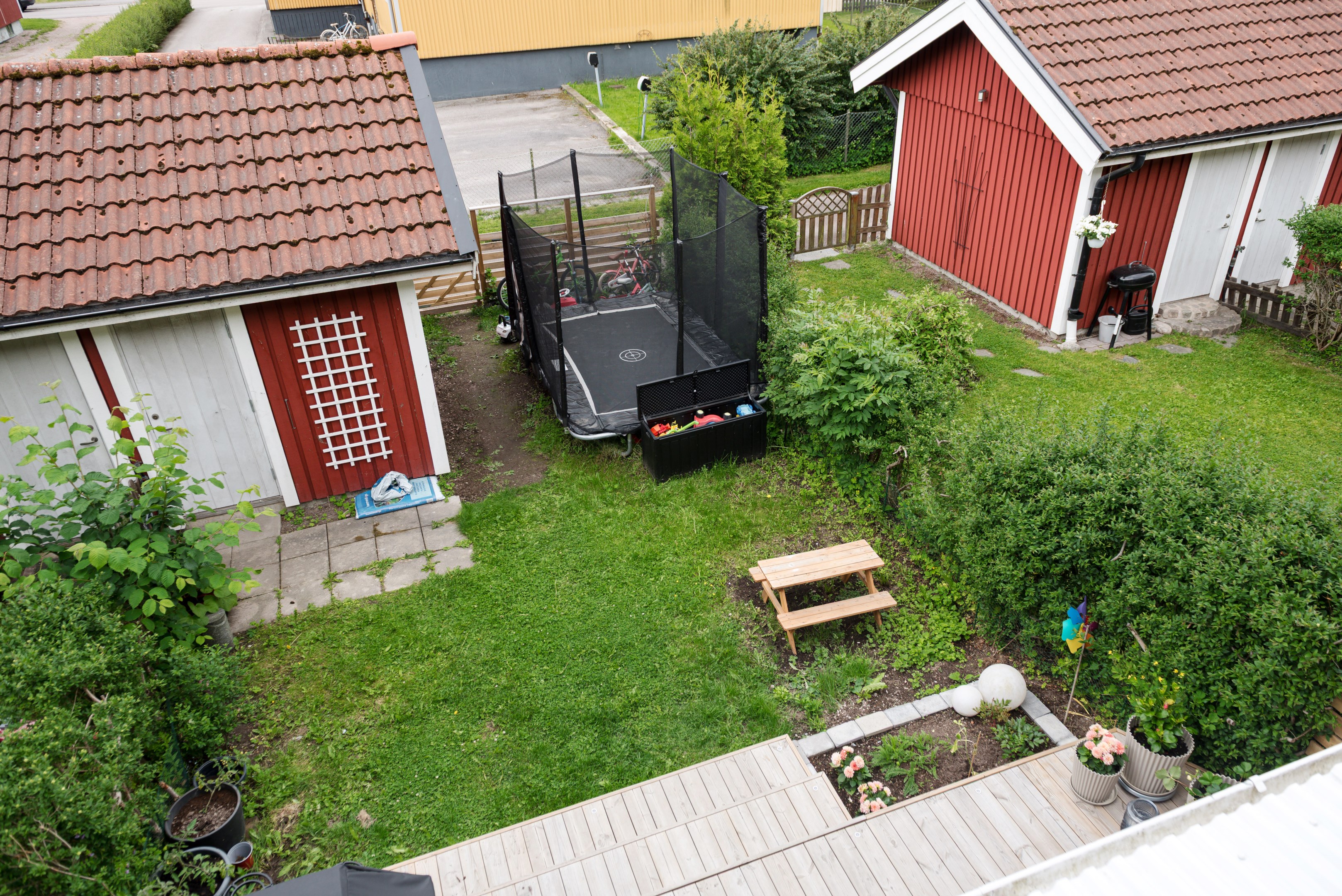 Trädgård