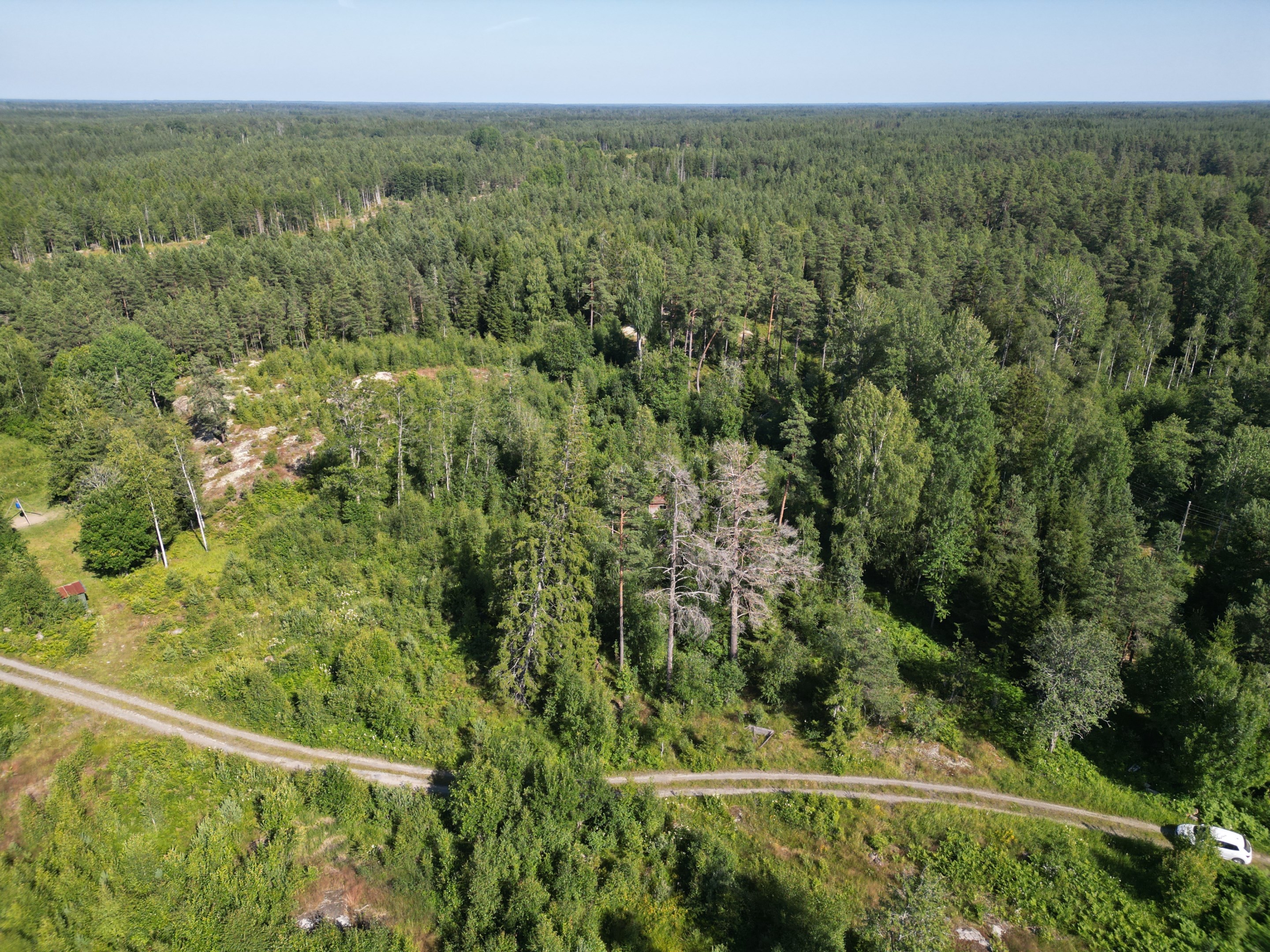 Enskilt läge omgiven av stora skogar