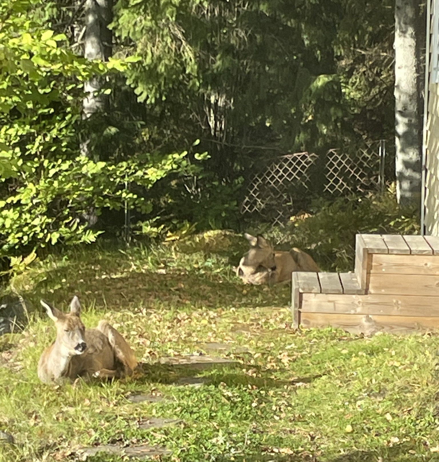 Bostadsbild från Minkvägen 6, Kommande i Evlinge, Värmdö