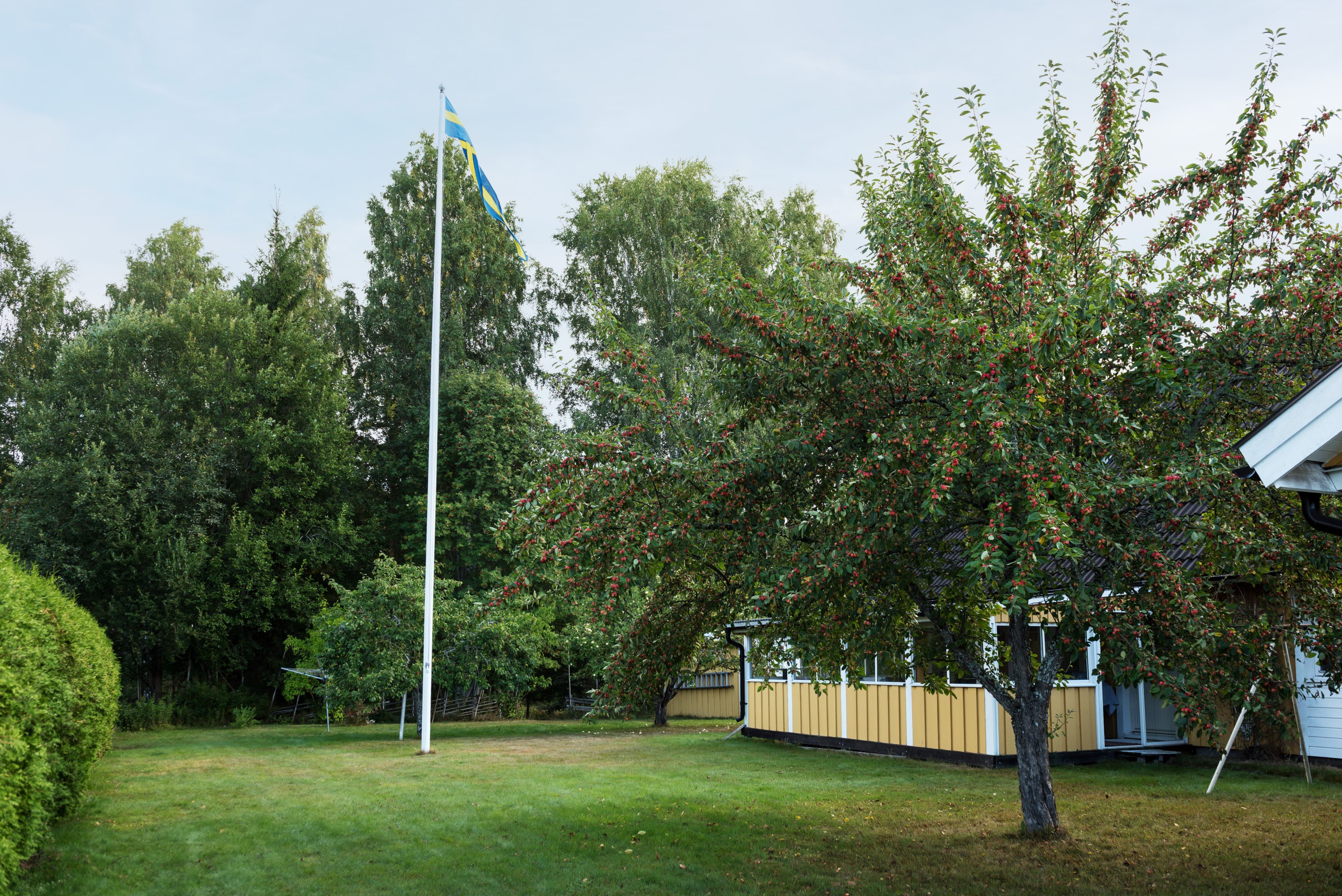 Tranbärsvägen 9