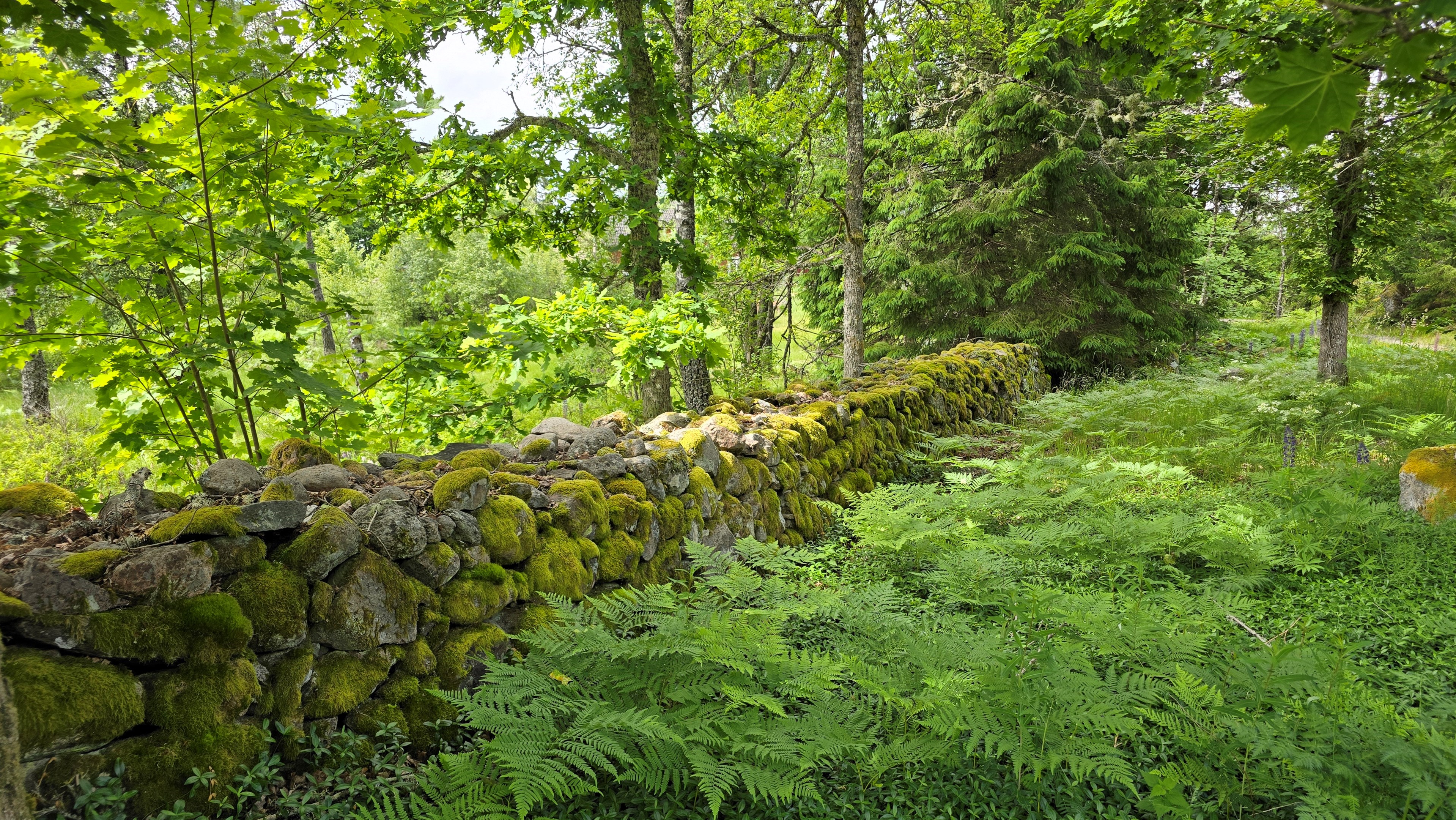 080 stengardsgard