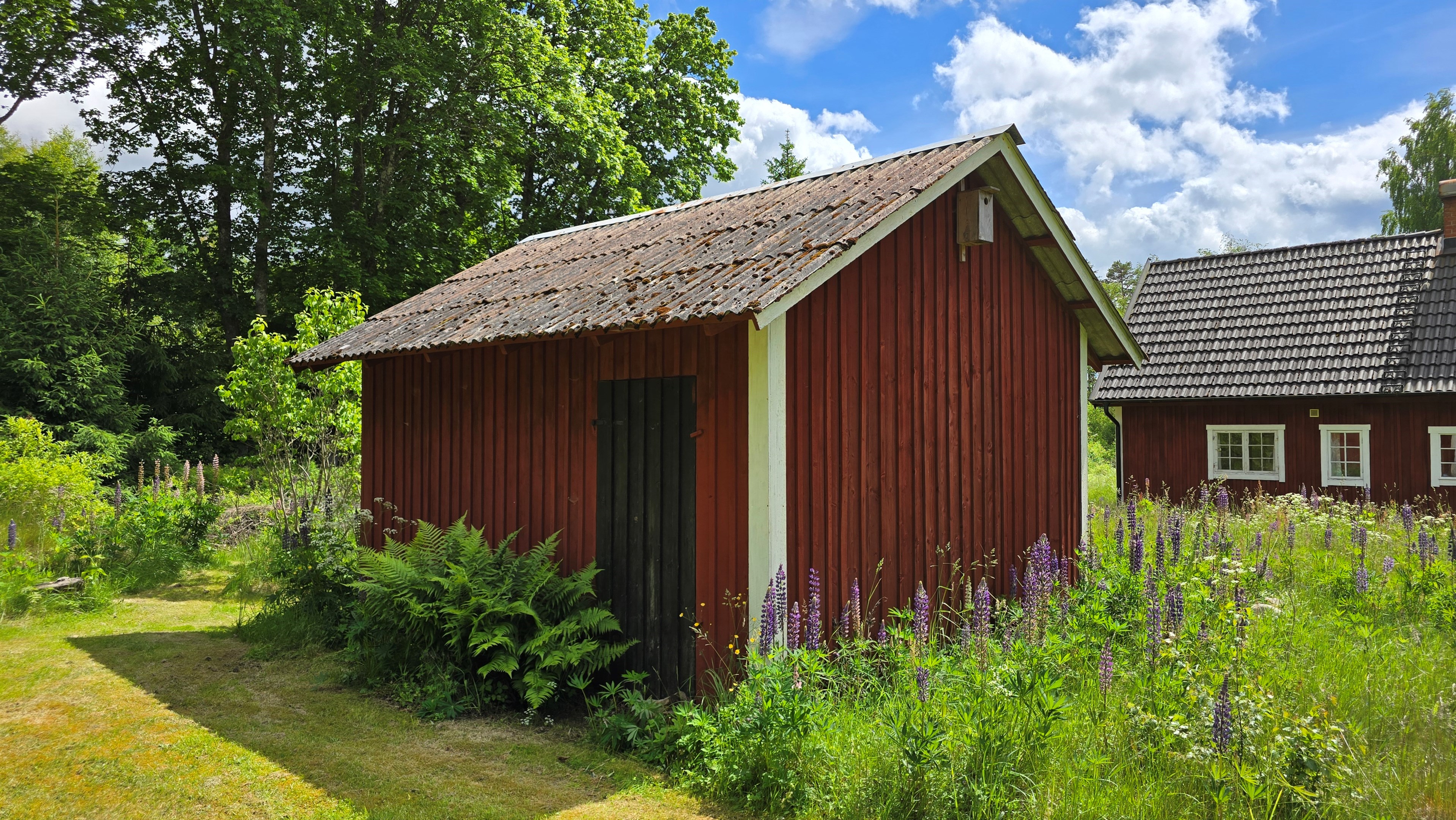 070 vedbod