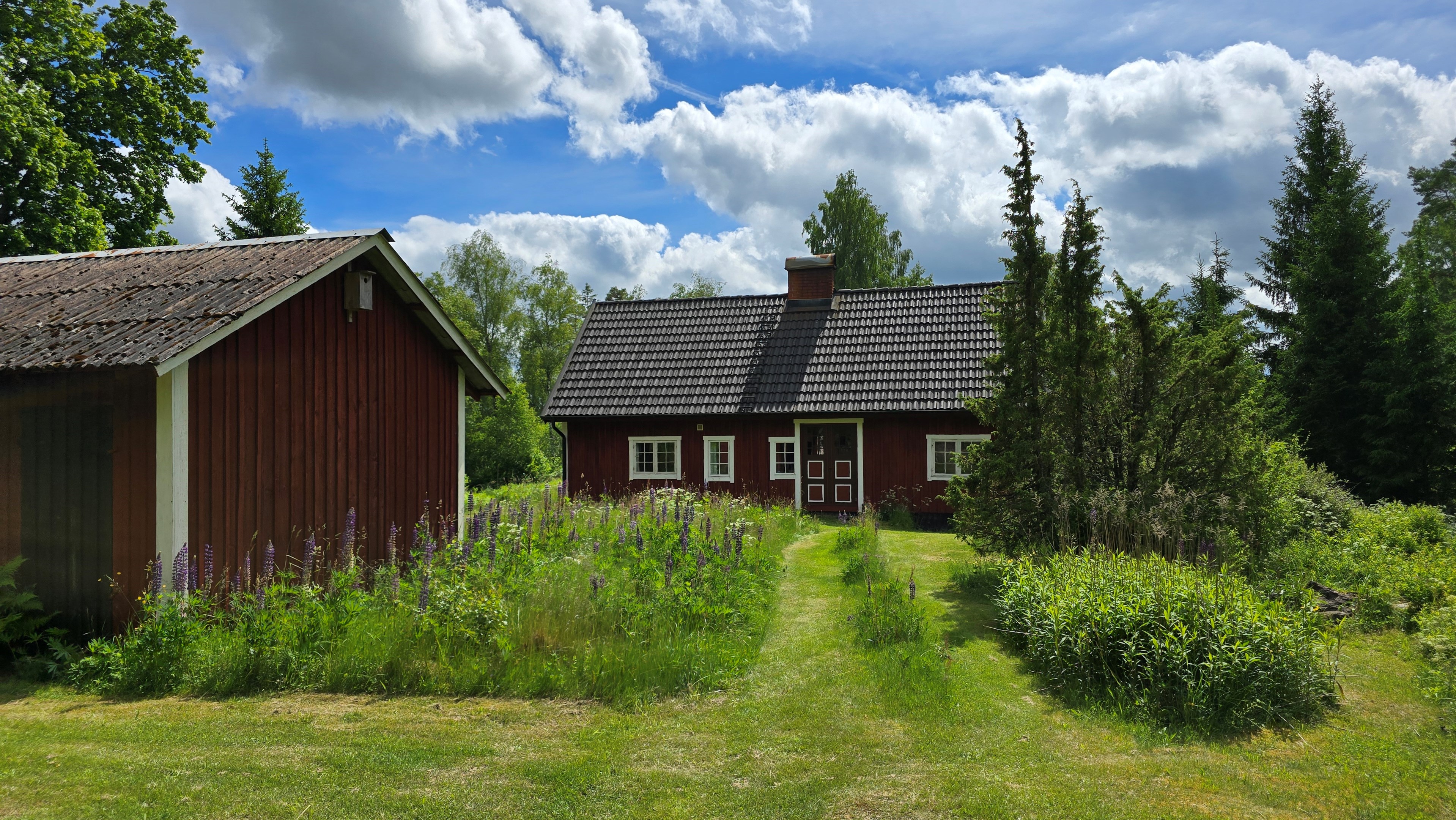 016 vy-over-tomten-mot-huset