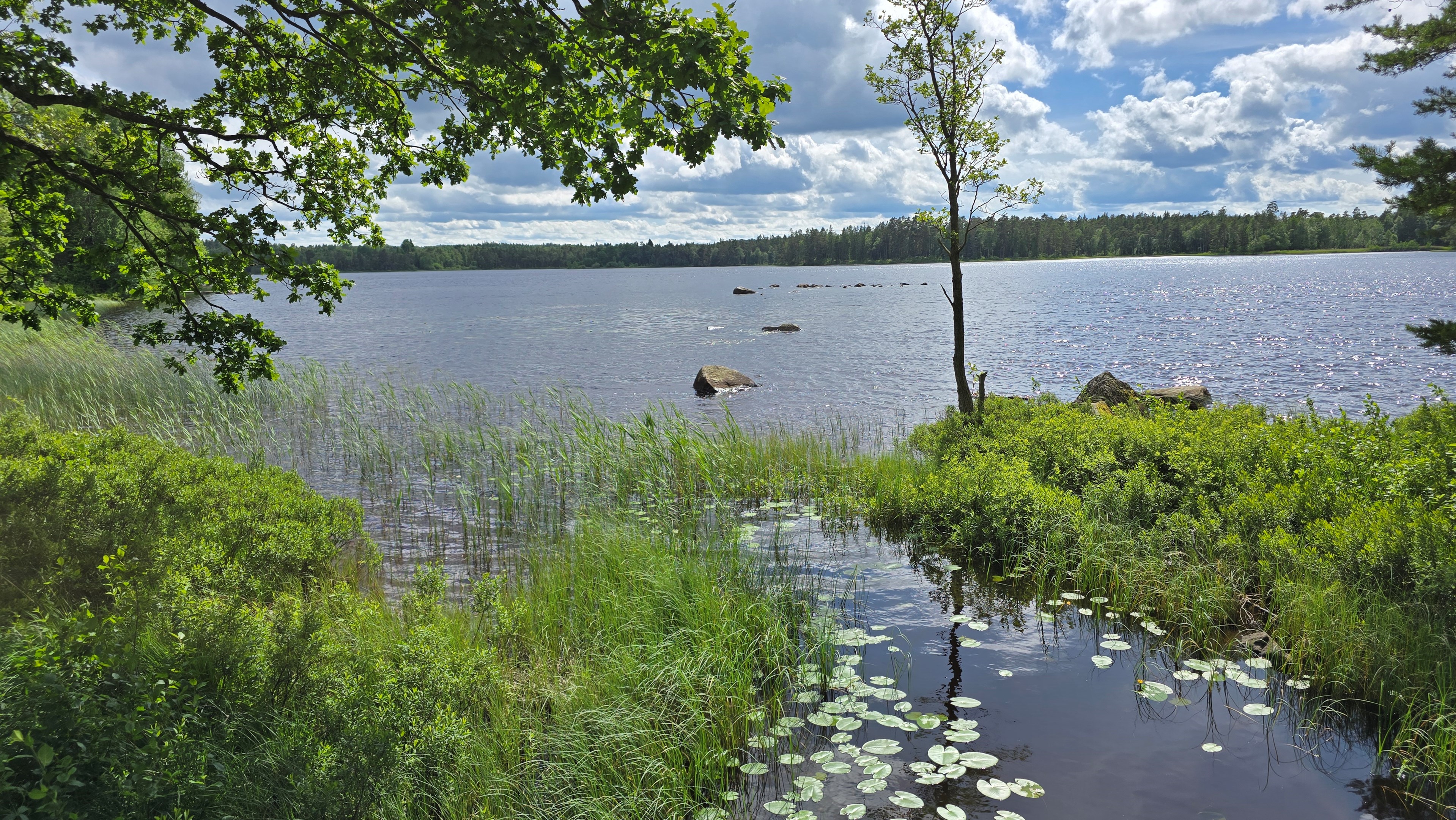 105 sjo-i-narheten-nackrosor