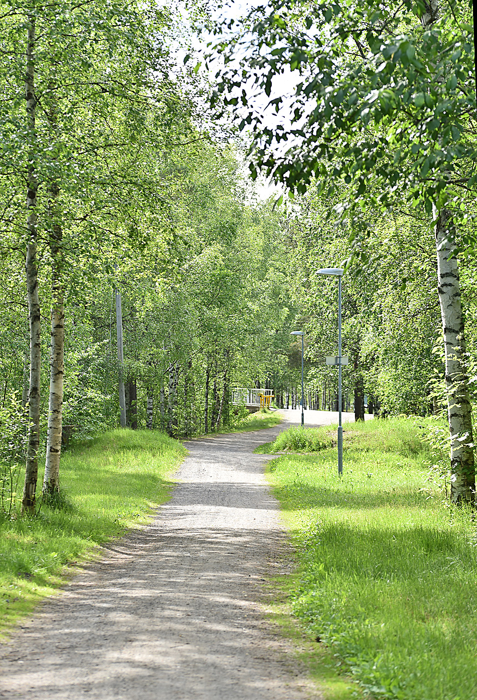 Bölesholmarna