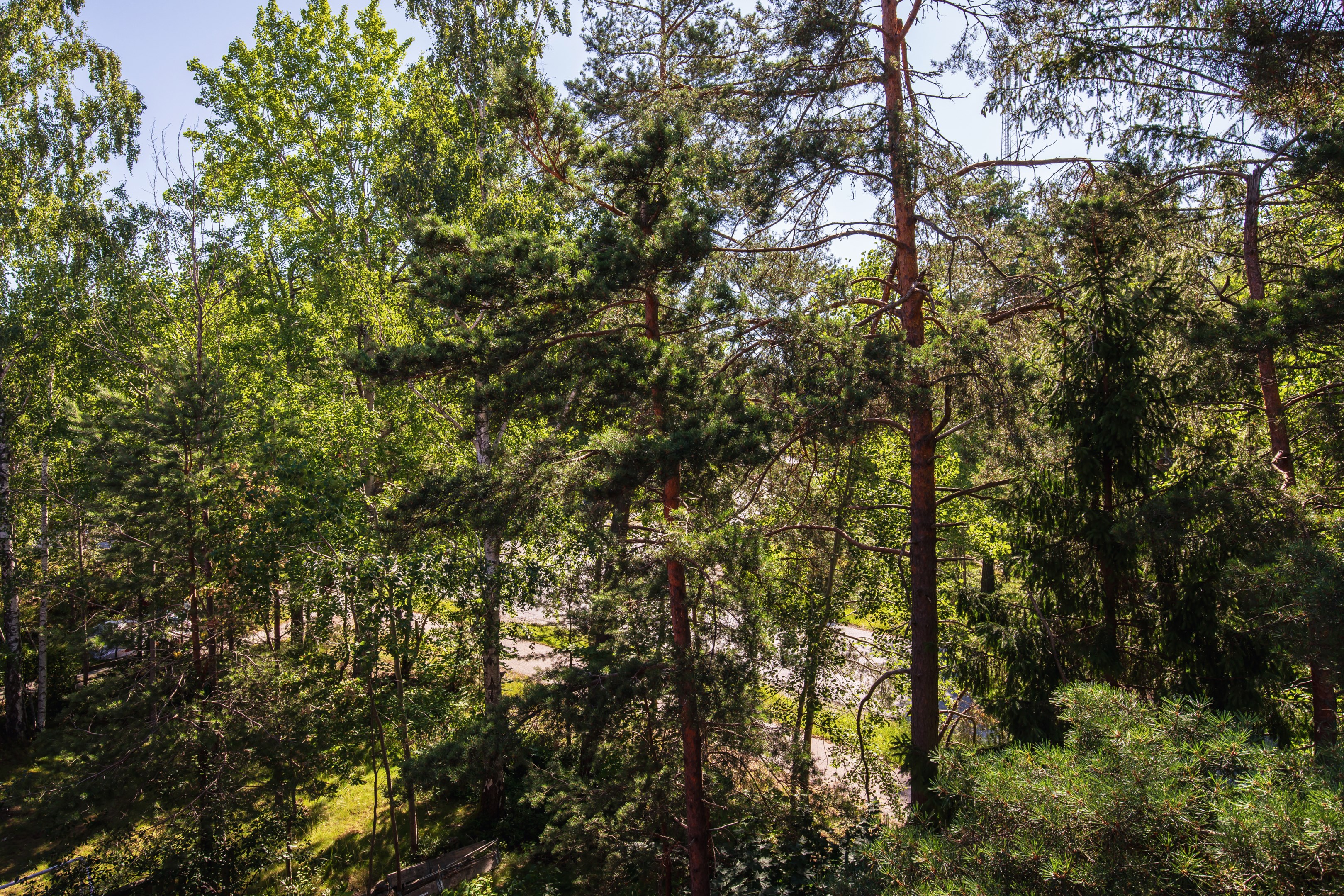 Bostadsbild från Björkholmsvägen 205, Till salu i Östra Orminge, Nacka