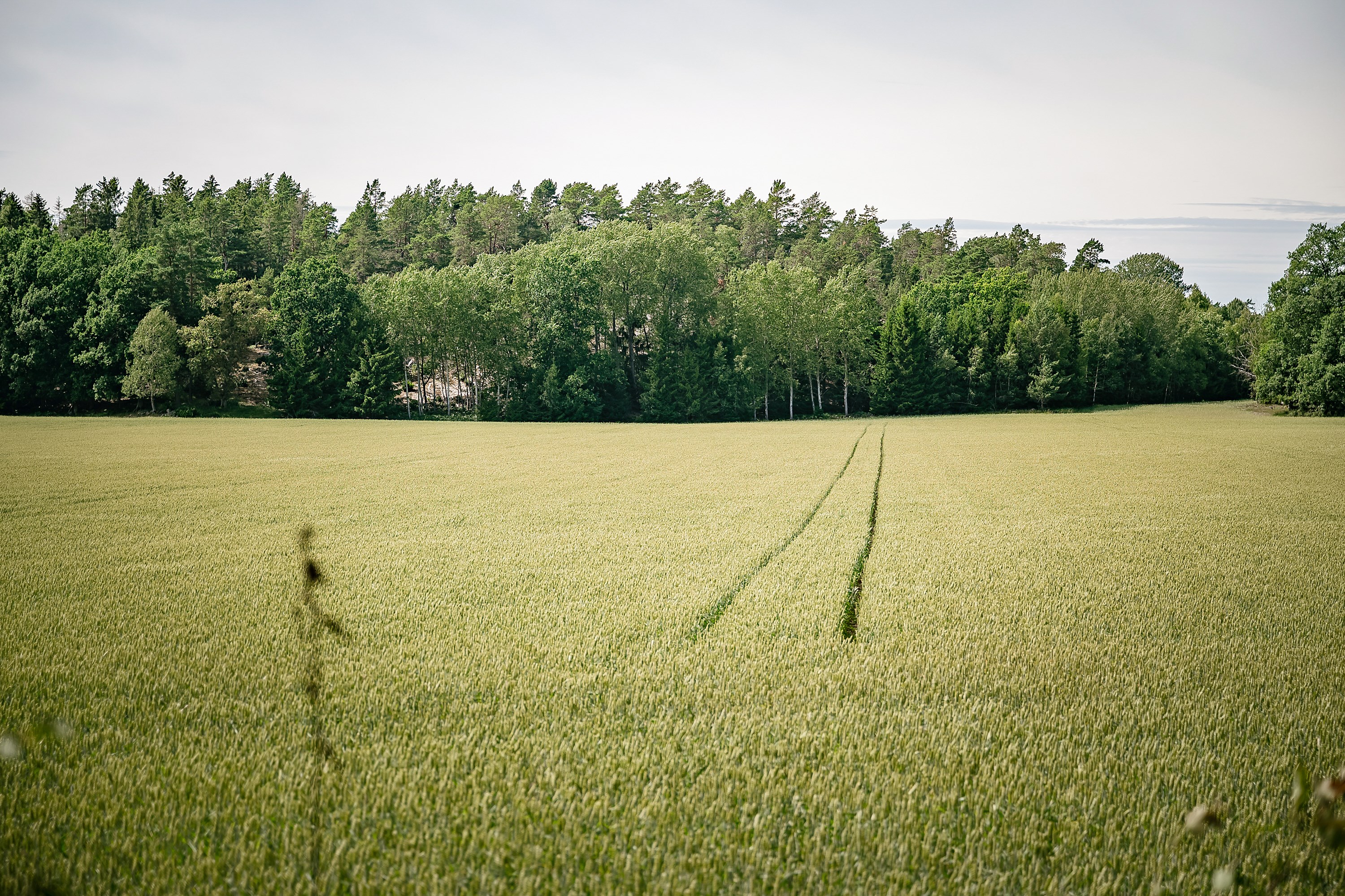 Bostadsbild från Räfsevägen 27, Kommande i Sund/Buskviken, Värmdö