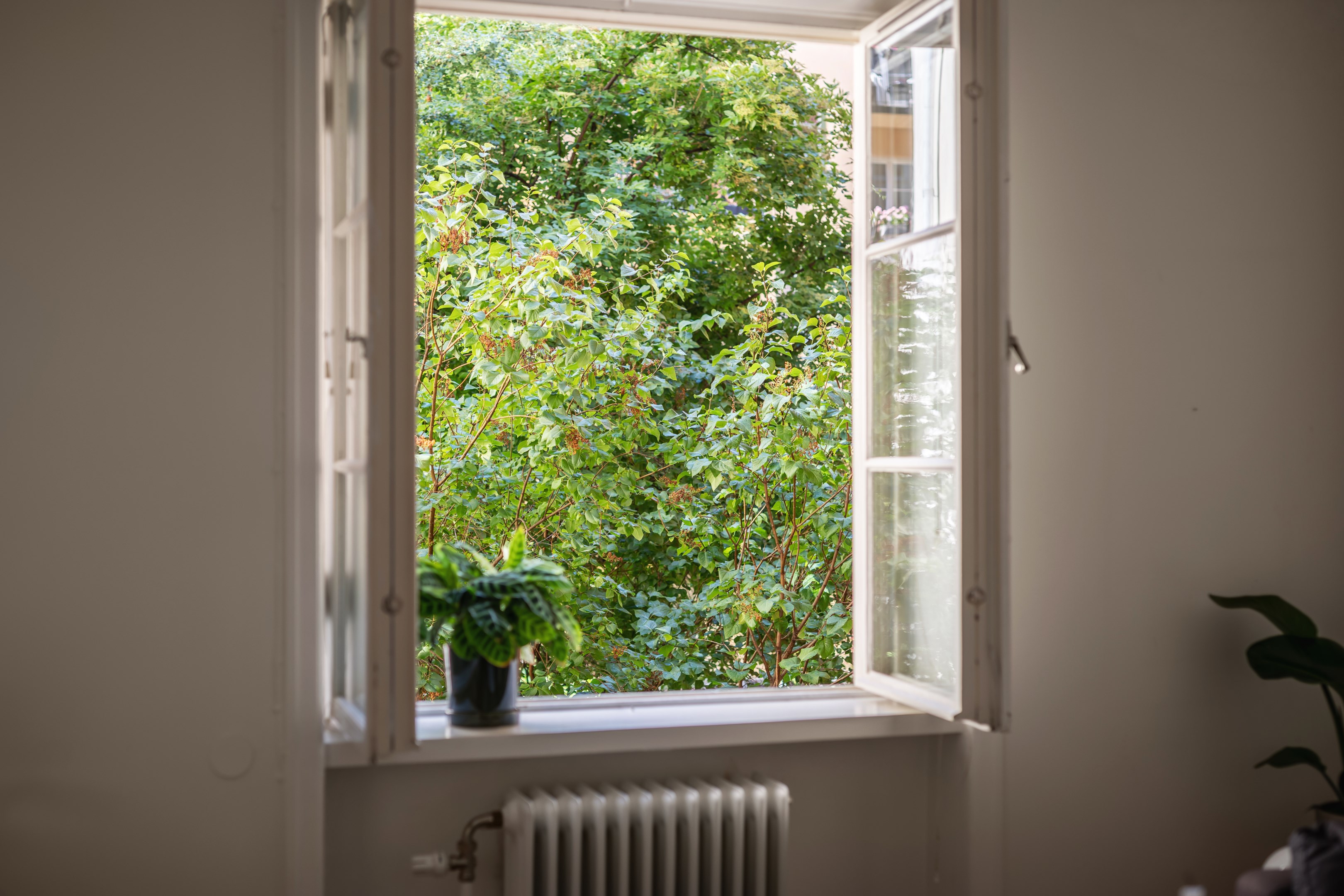Bostadsbild från Fridhemsgatan 12A, Kommande i Kungsholmen - Fridhemsplan, Stockholm