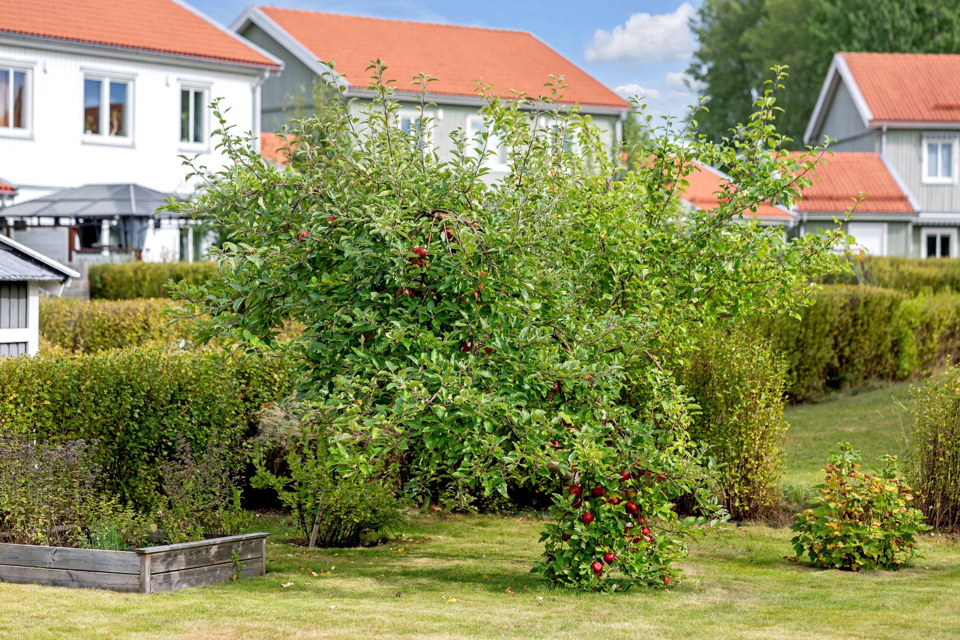 Bostadsbild från Timotejvägen 15, Till salu i Lövstalöt, Uppsala