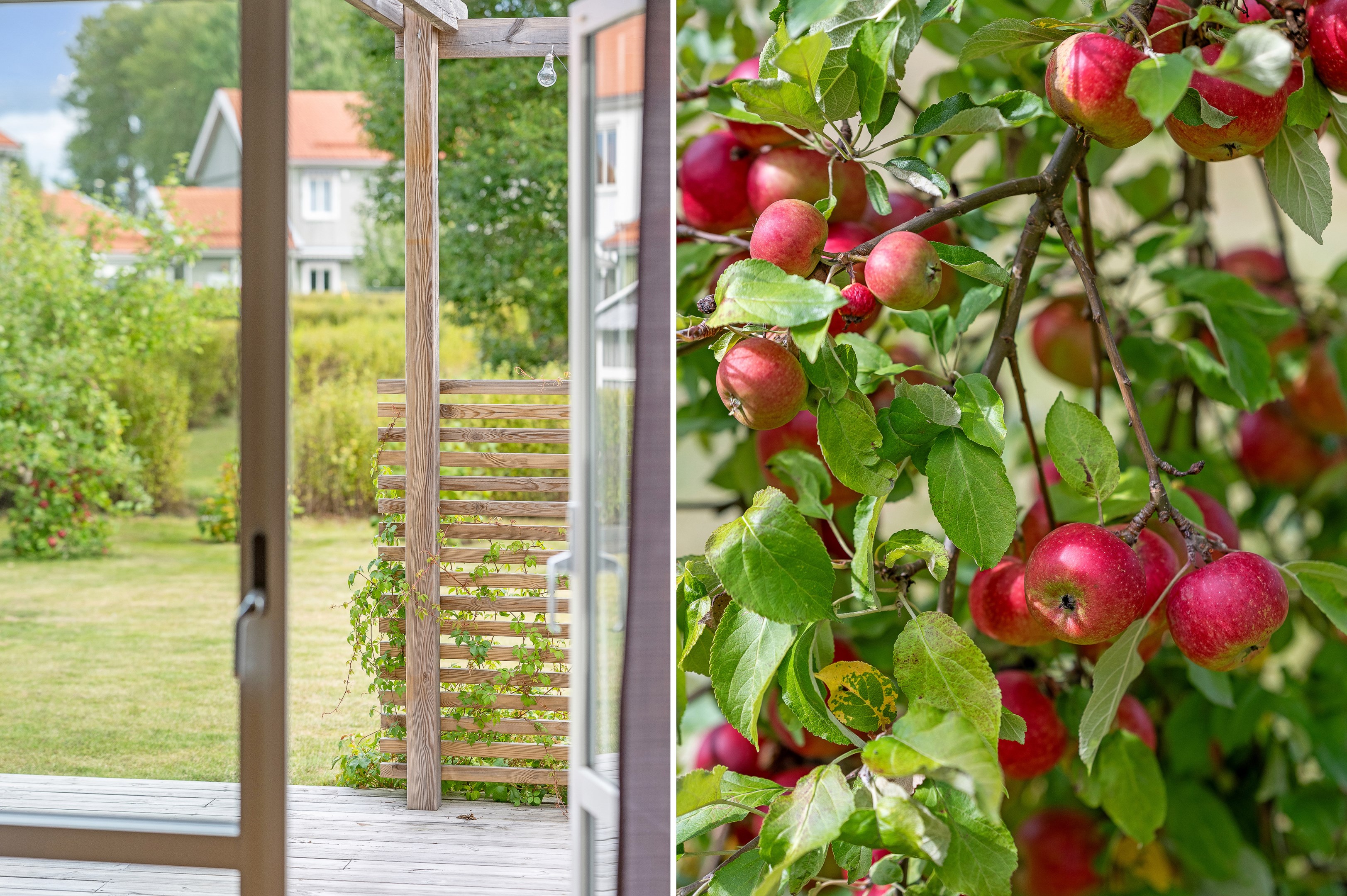 Bostadsbild från Timotejvägen 15, Till salu i Lövstalöt, Uppsala