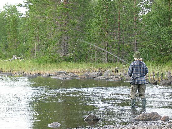 Omsorgsfullt utformad fjälllyx med närhet till både sjö och fjäll.