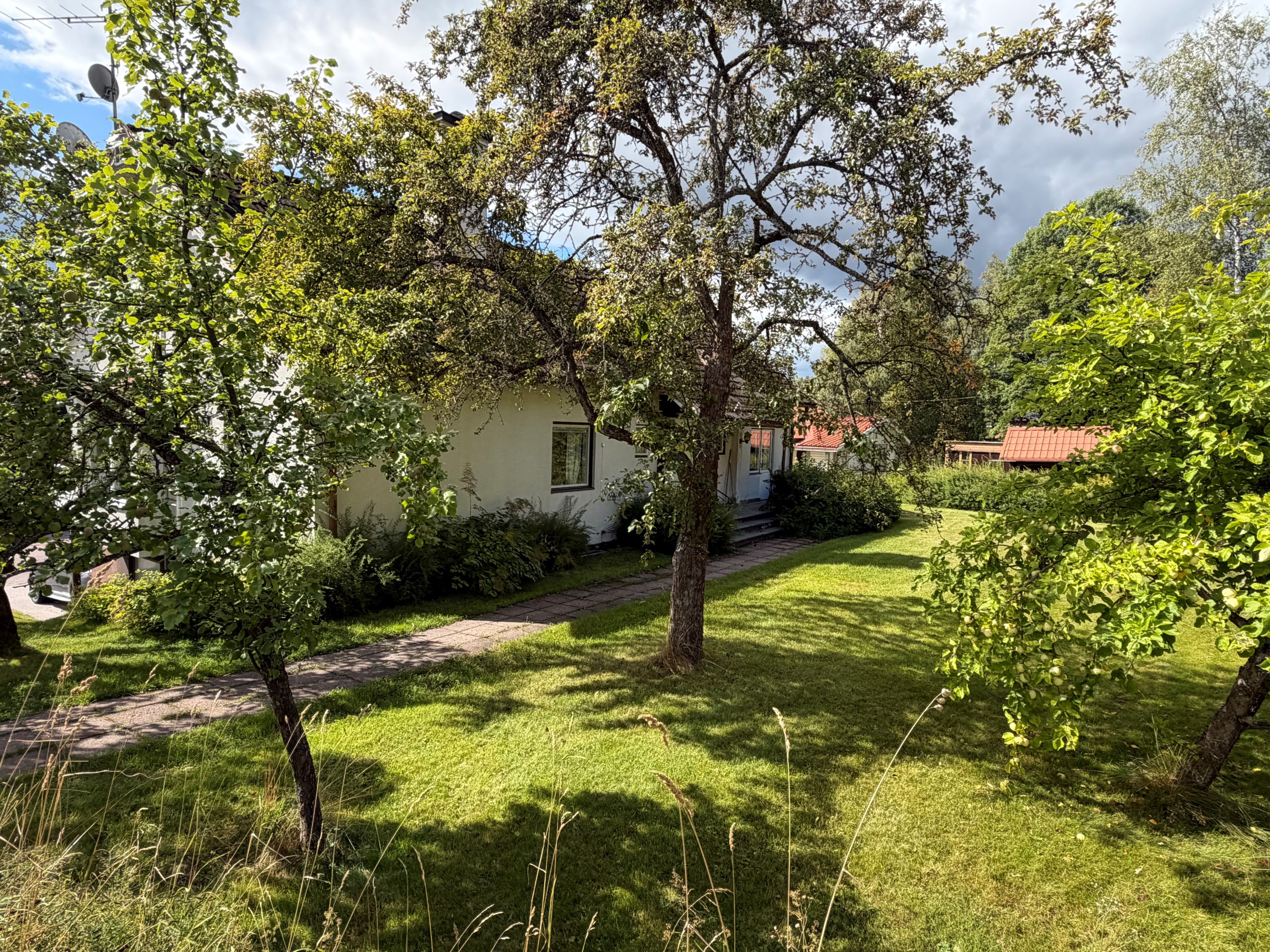 Trädgården