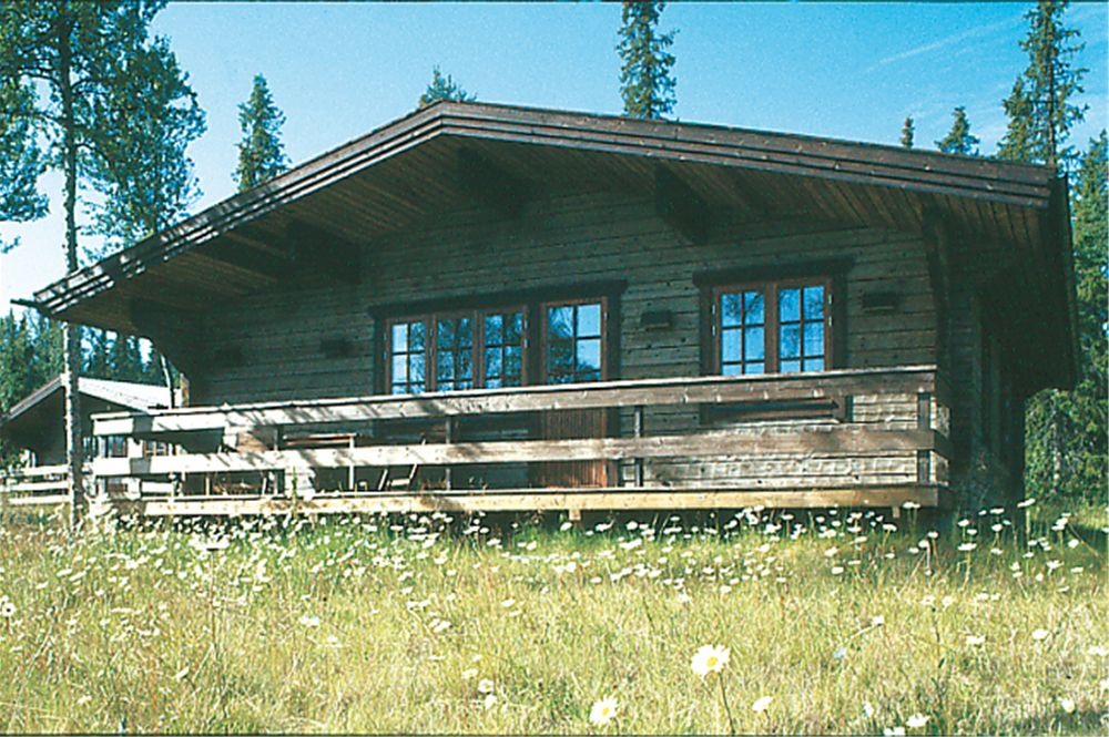 En oas i fjällen, ett riktigt smultronställe