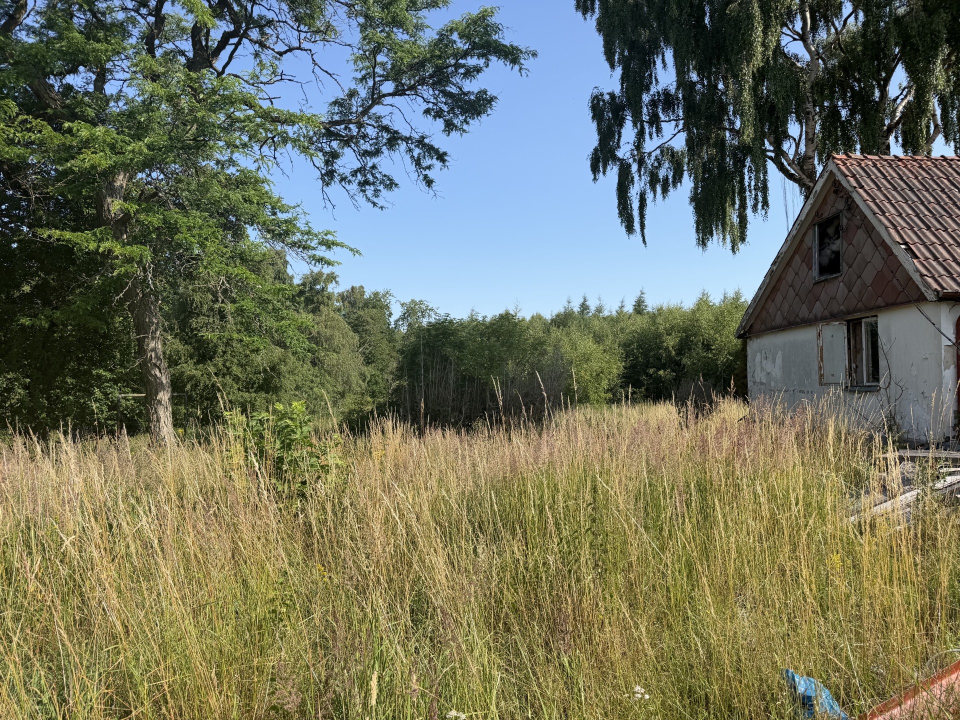 Härligt uppvuxna ytor