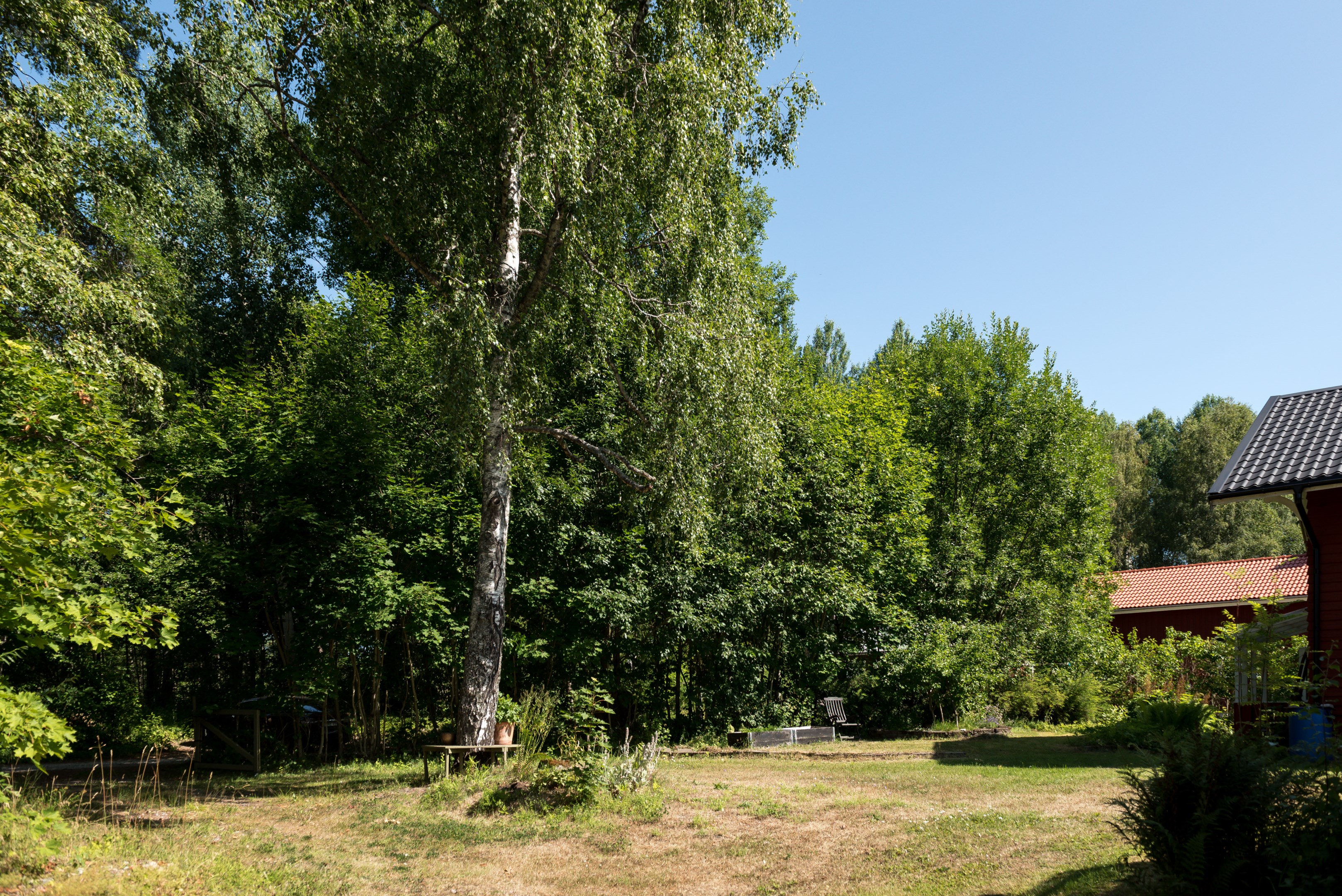 Trädgård