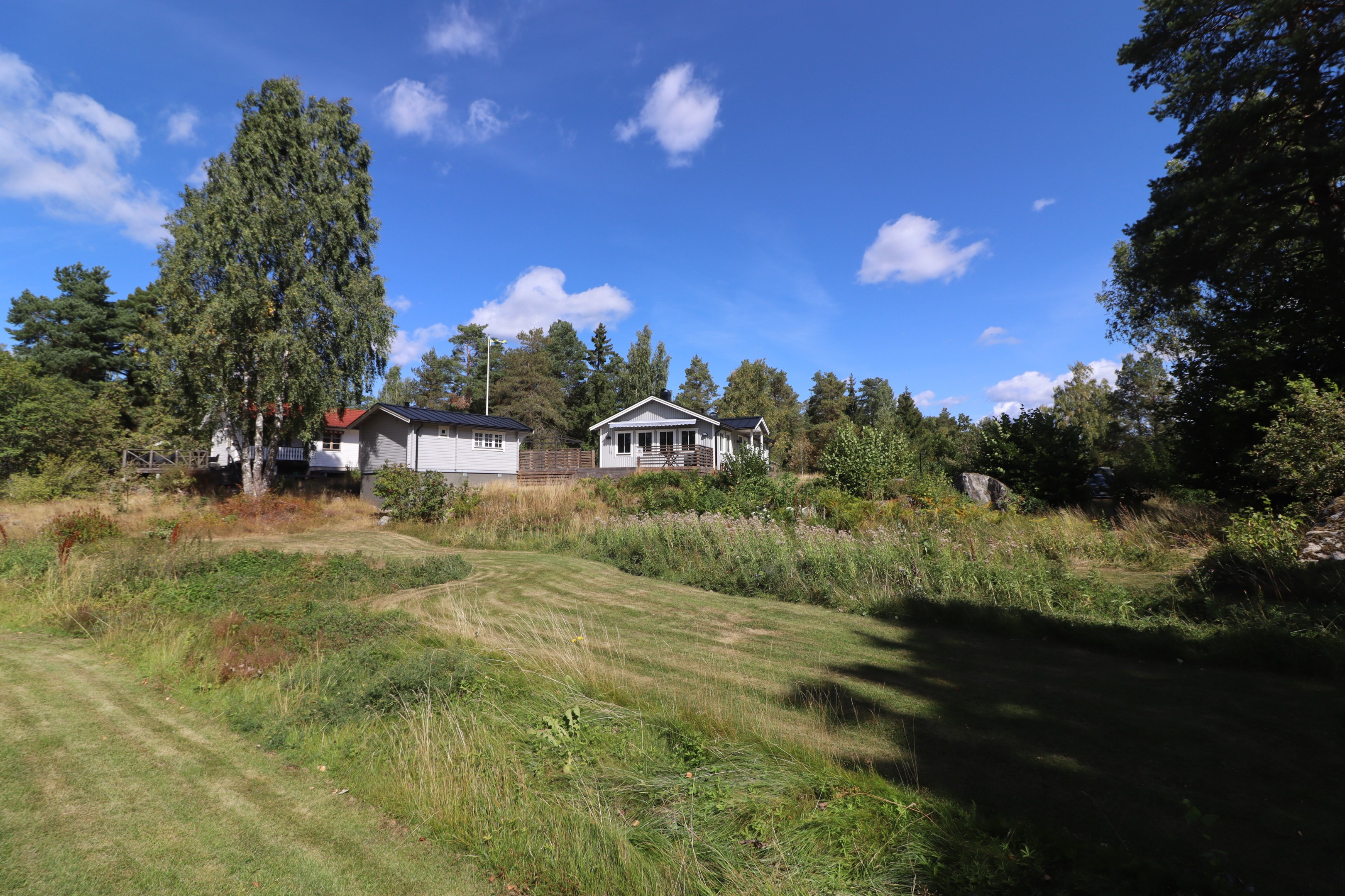 Husen med grönskande tomt