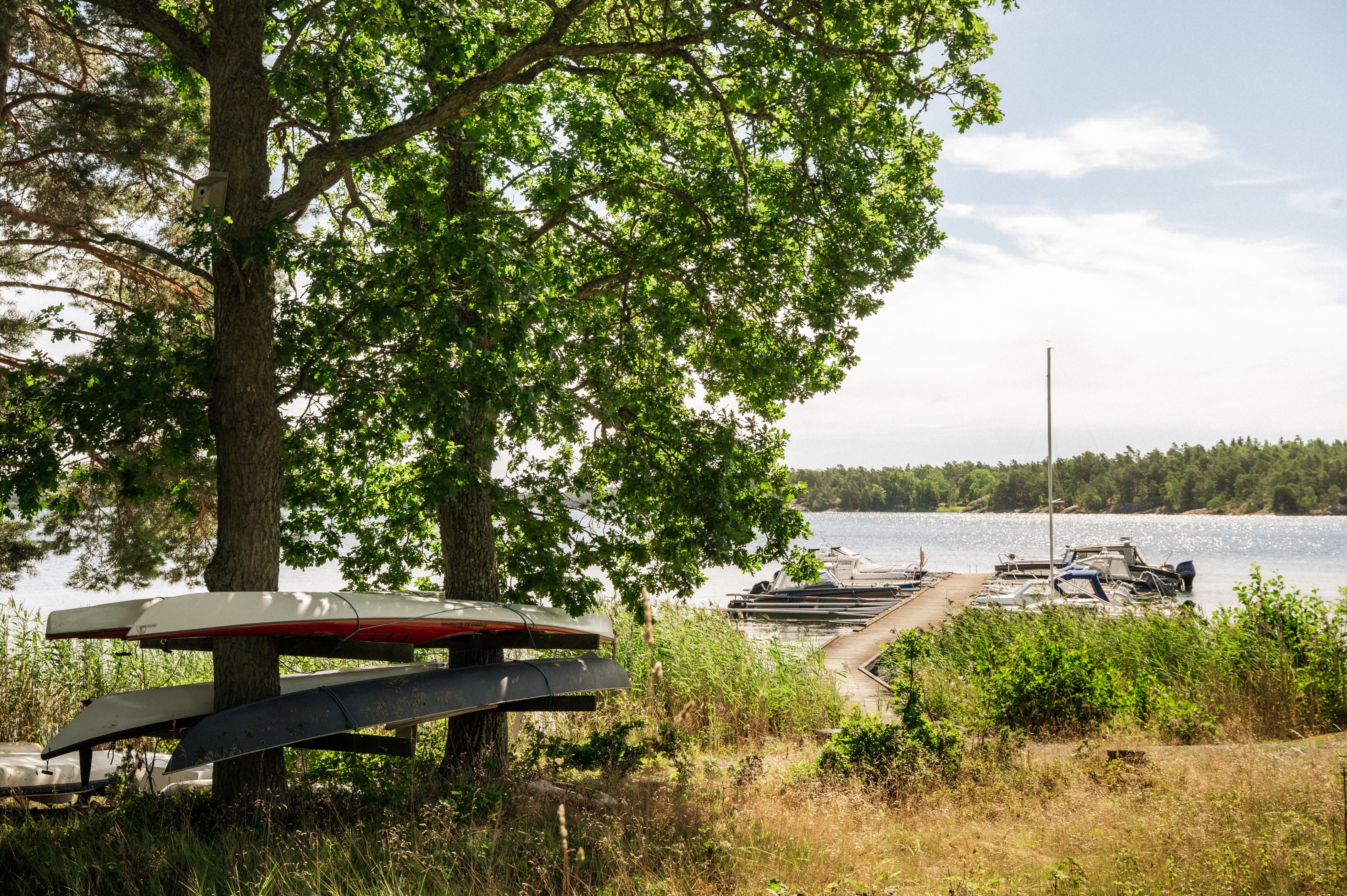 Björkvikens bad