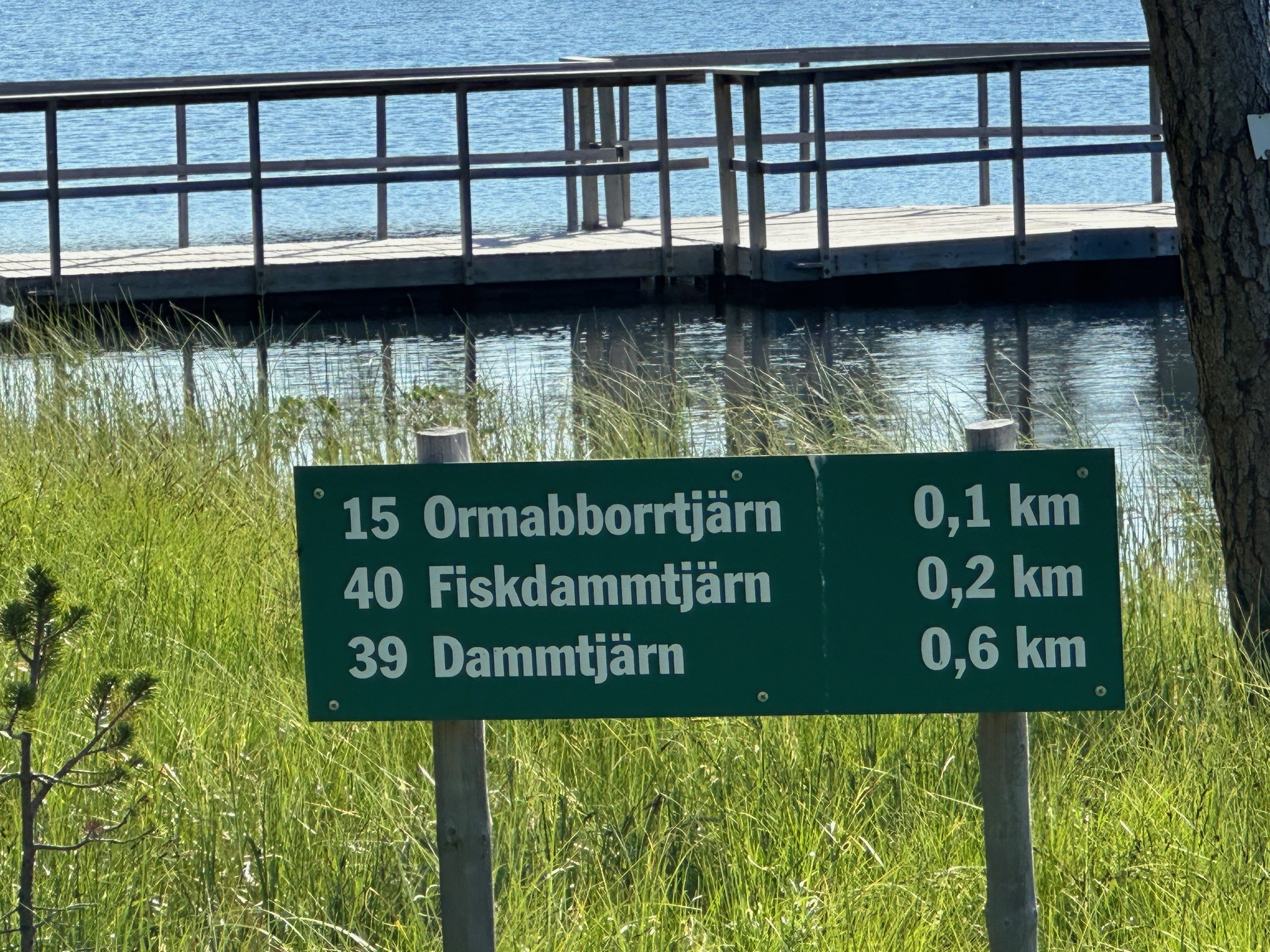 Vägvisare