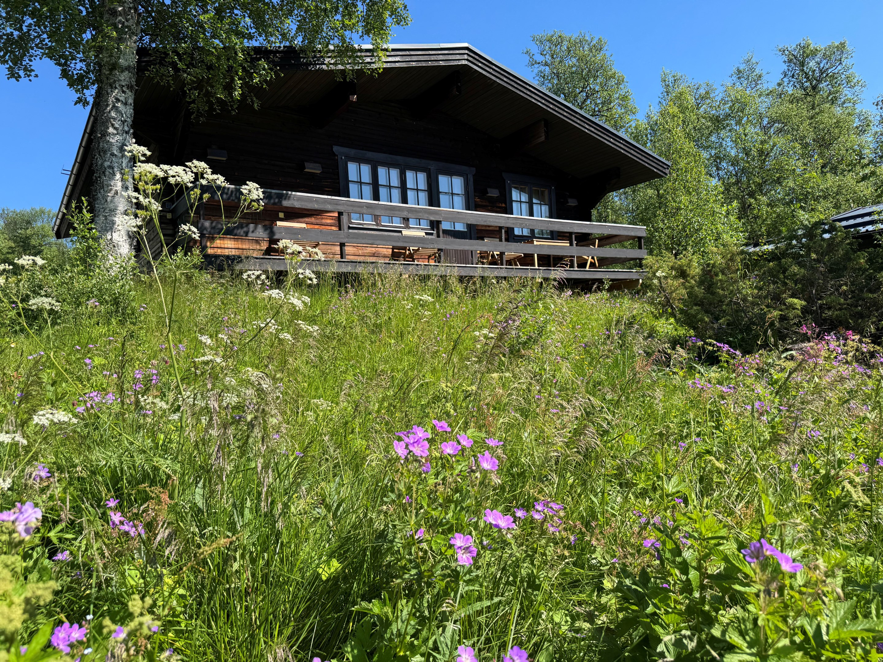Fjällsätern sommar