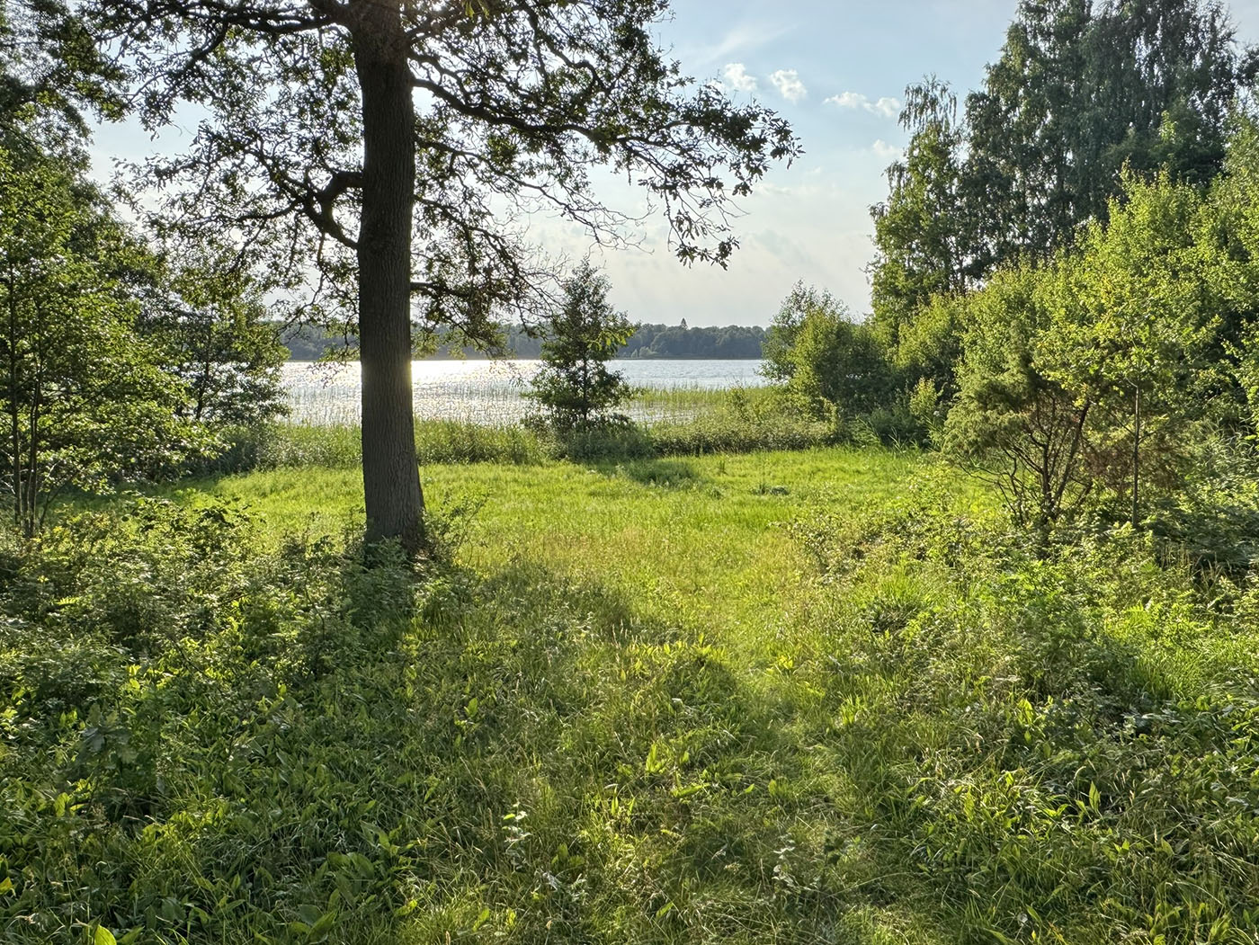 Sjön Kösen