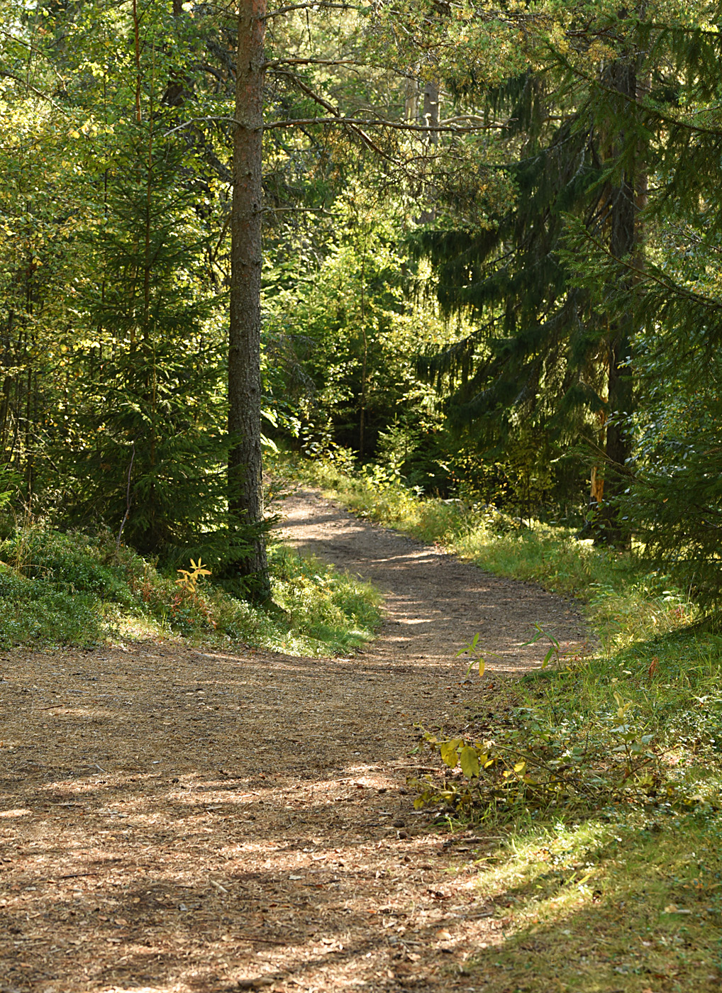 I 20 fritidsområde