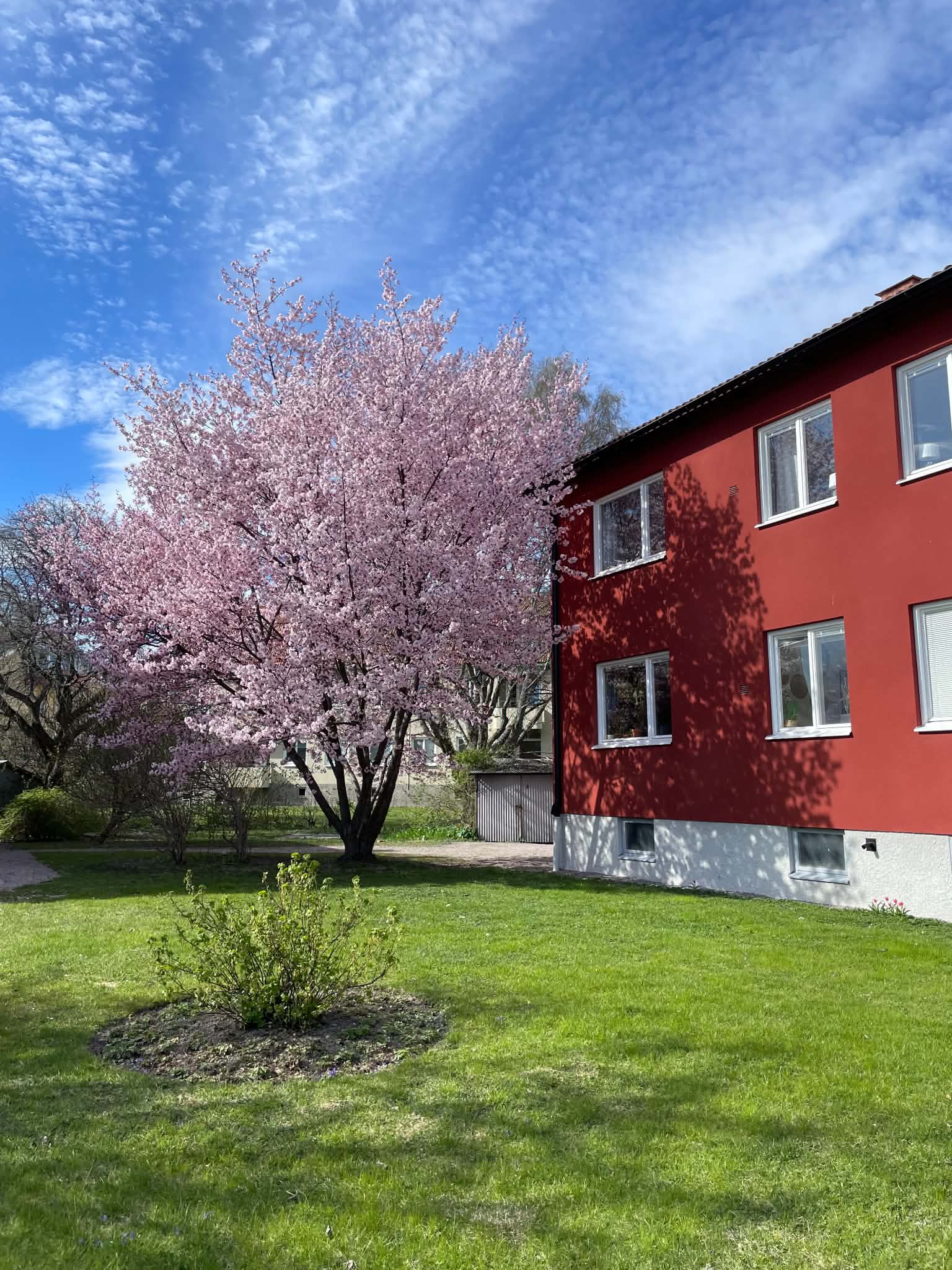 Bostadsbild från Norrtäljegatan 28, Kommande i Fålhagen, Uppsala